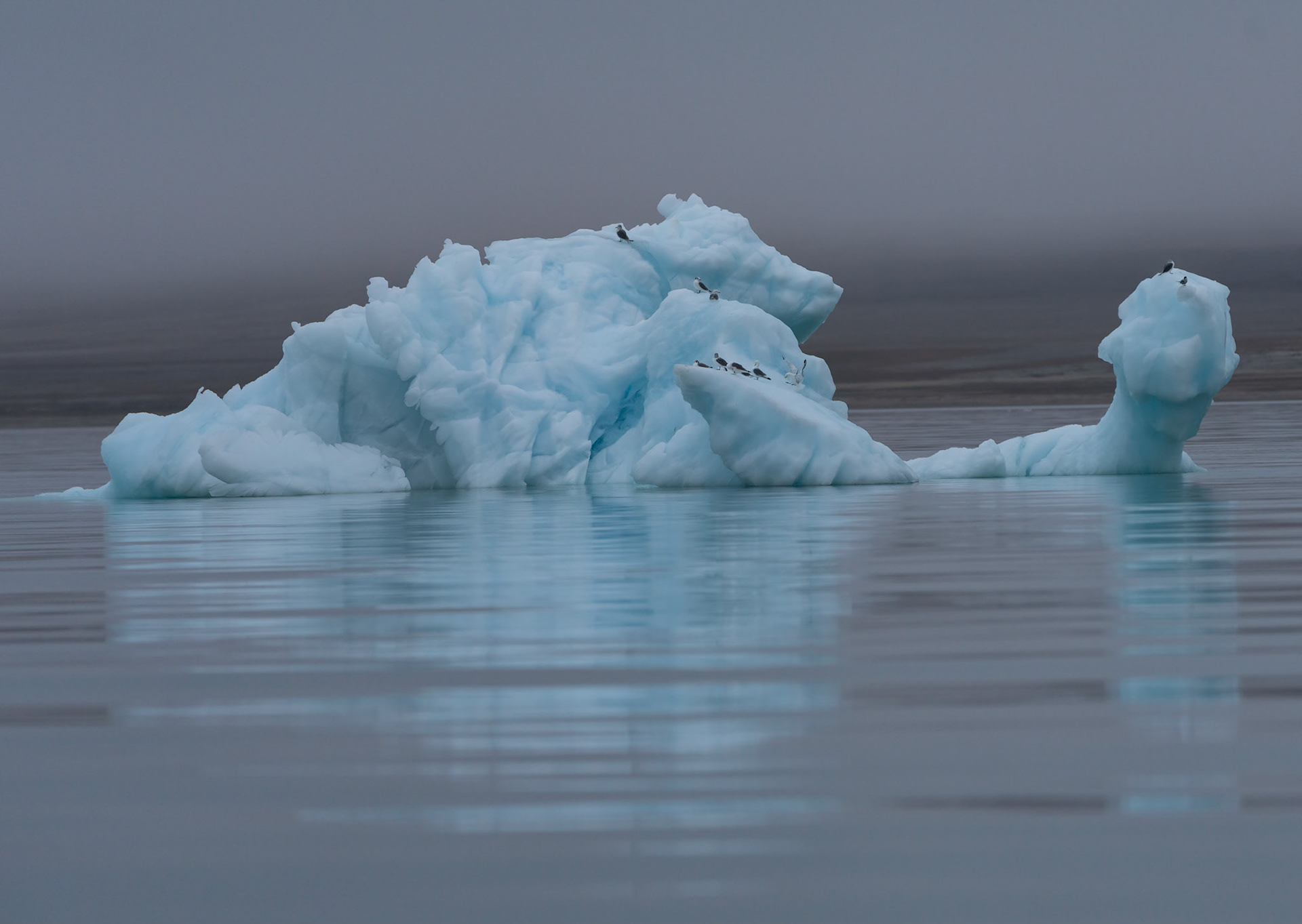Iceberg near Vegafonna glacier, Svalbard. 05-08-2022.