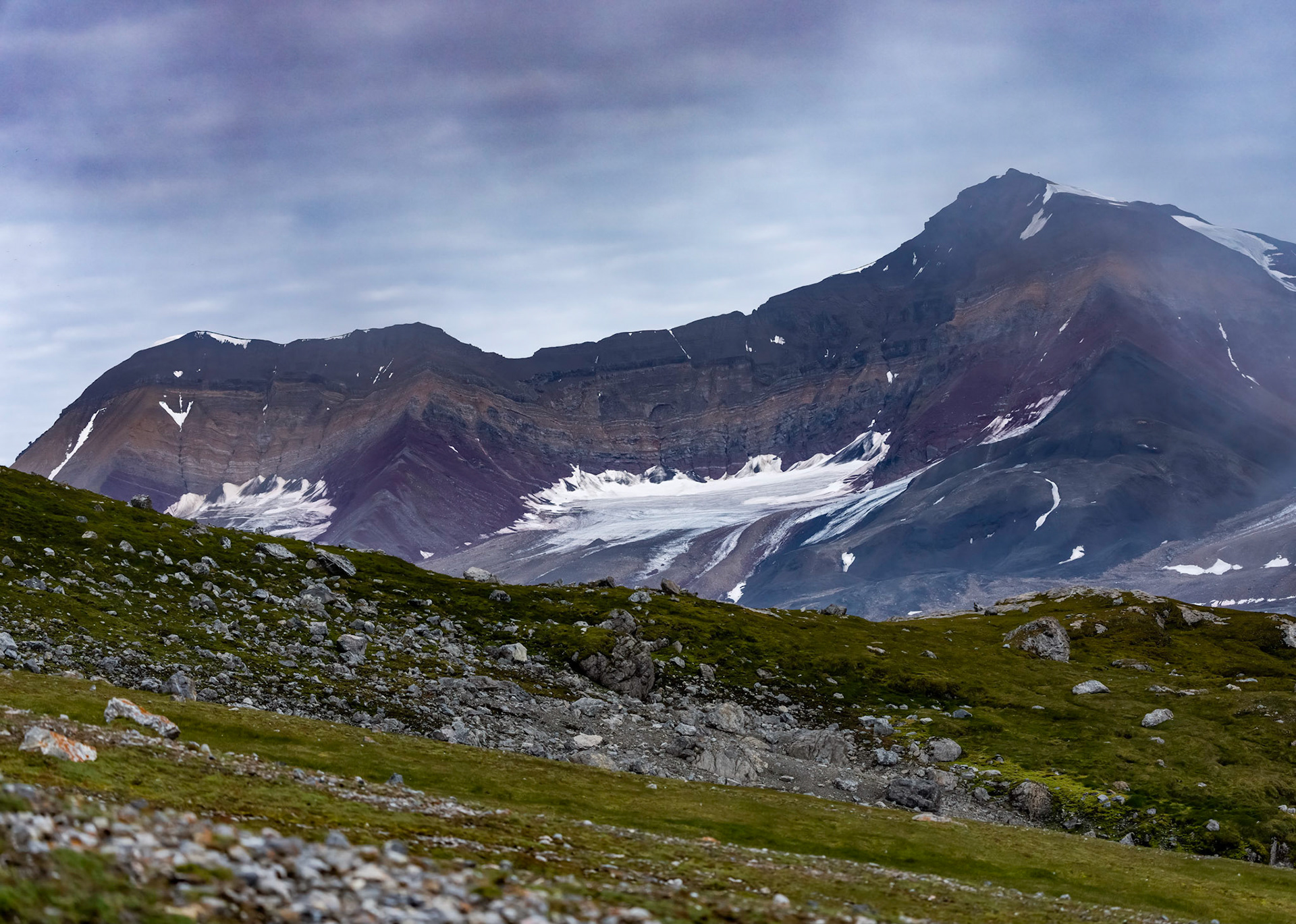 Gnalodden, Svalbard. 07-08-2022.