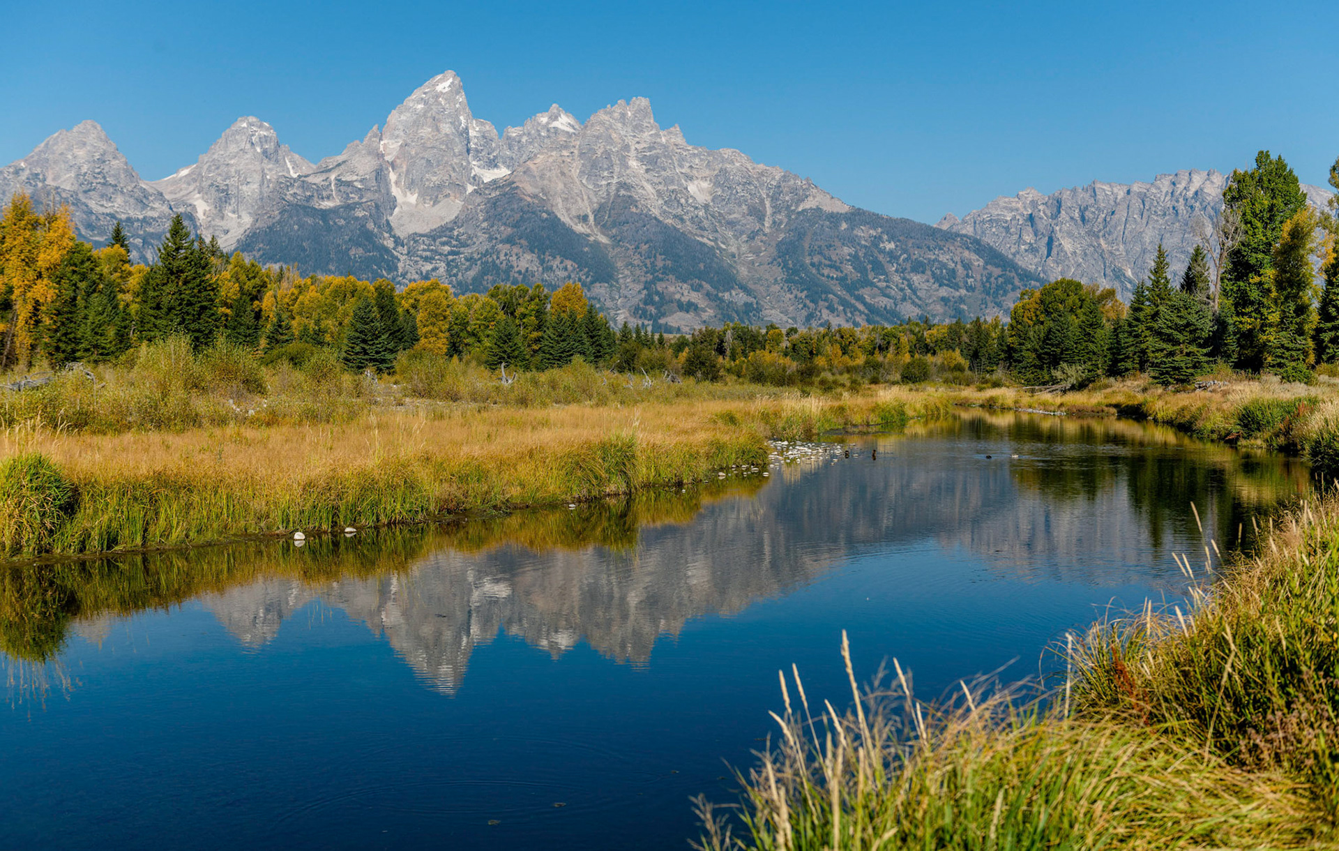 Snake River reflections. Gand Teton NP. Wyoming 11/09/18