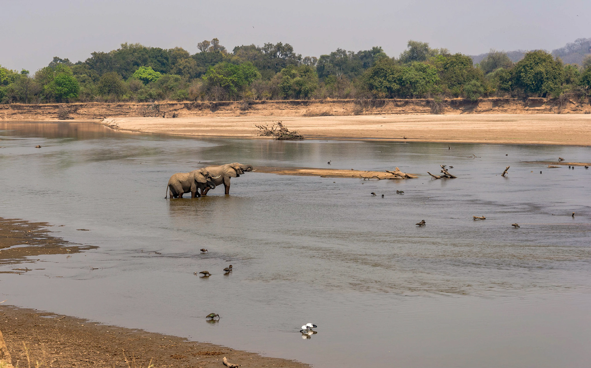 Luangwa River, Kafunta Zambia 11/09/17