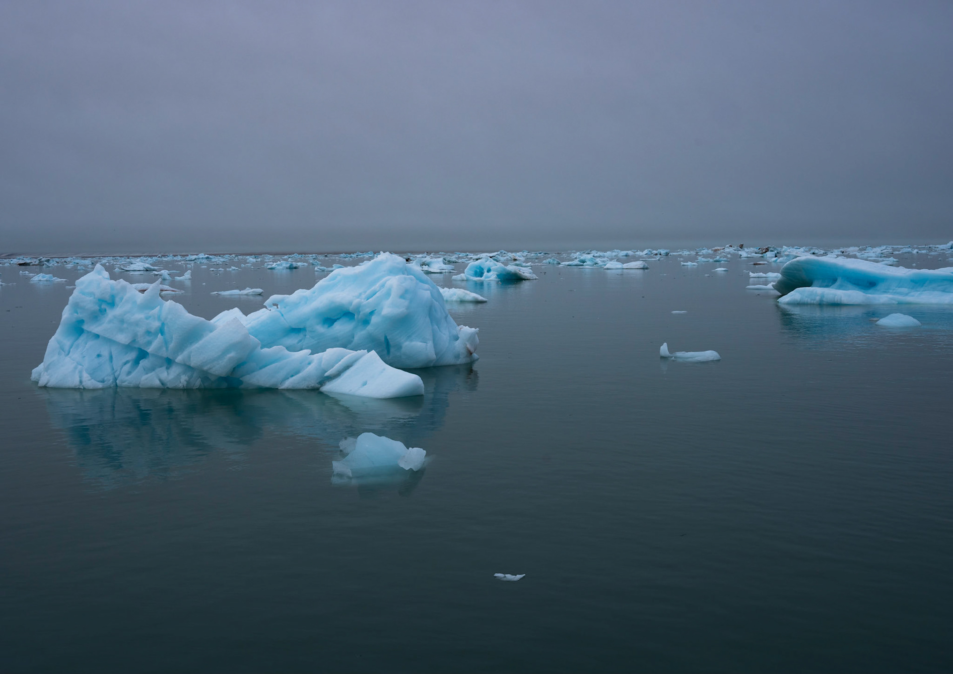 Fresh sea ice from Brasvellbreen ice wall, Svalbard, 05-08-2022.