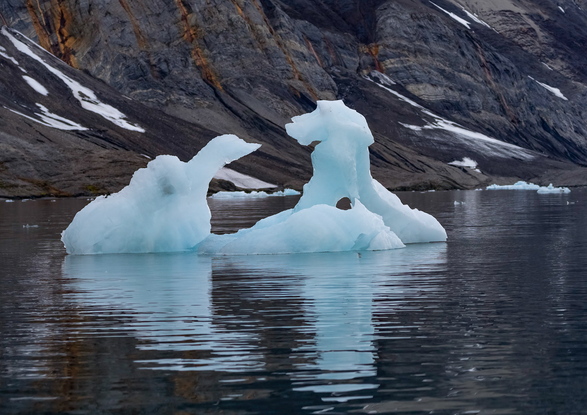 Iceberg (dog and bird), Burgerbuktafjorden, Svalbard. 07-07-2022.