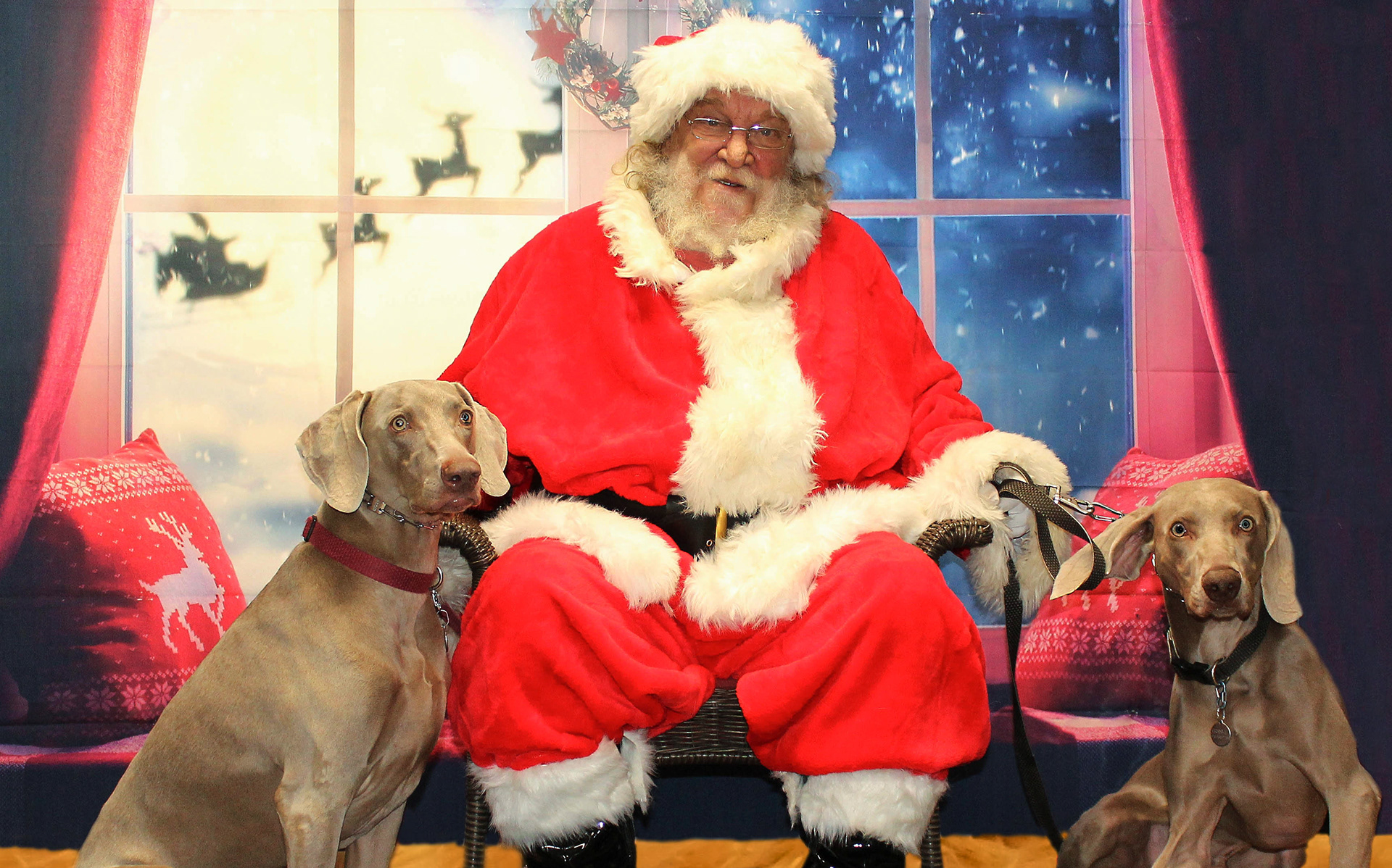 Santa Shoot at Pet Works 