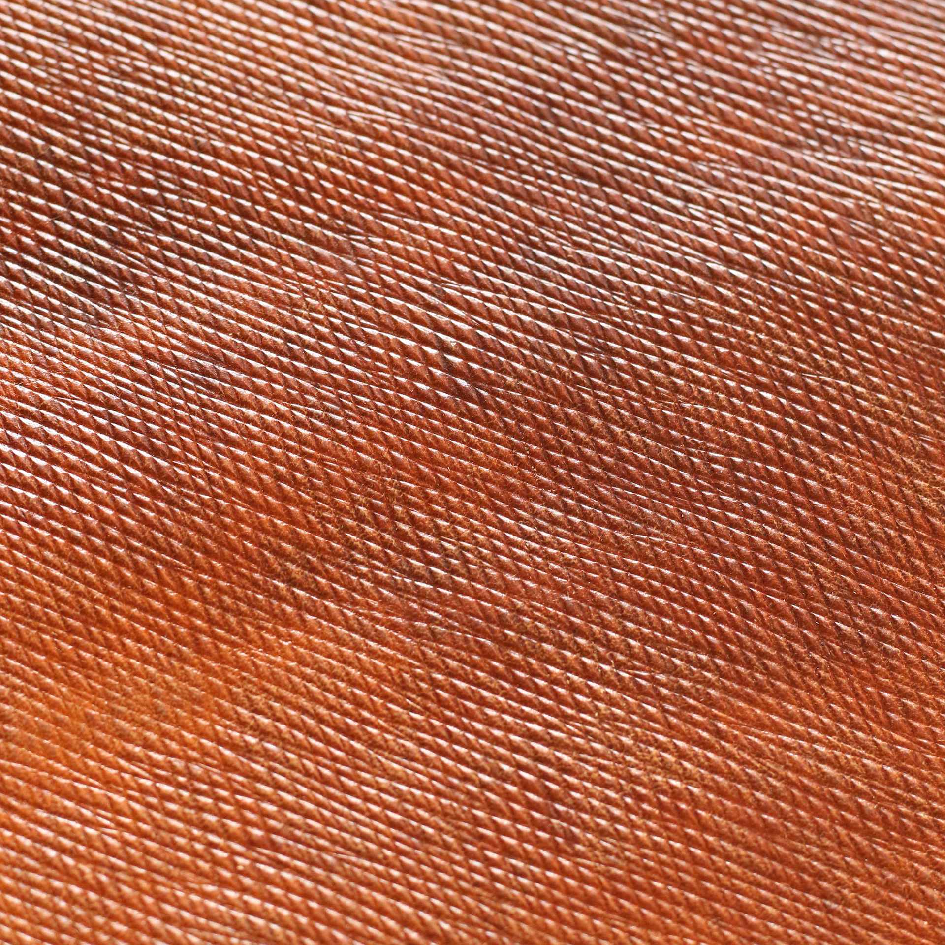 Cordovan Metta Catharina Horse Strips - Whiskey