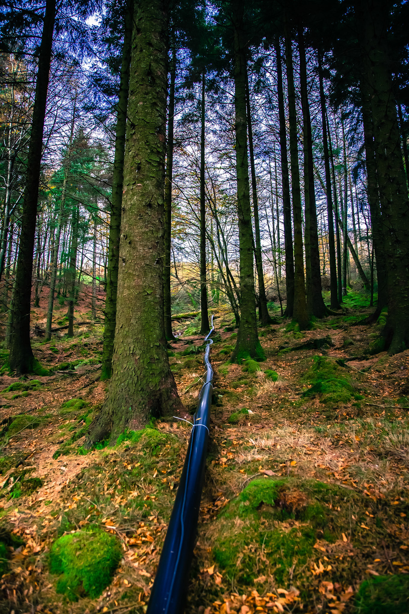 EDF Energy Hydro Electric power.