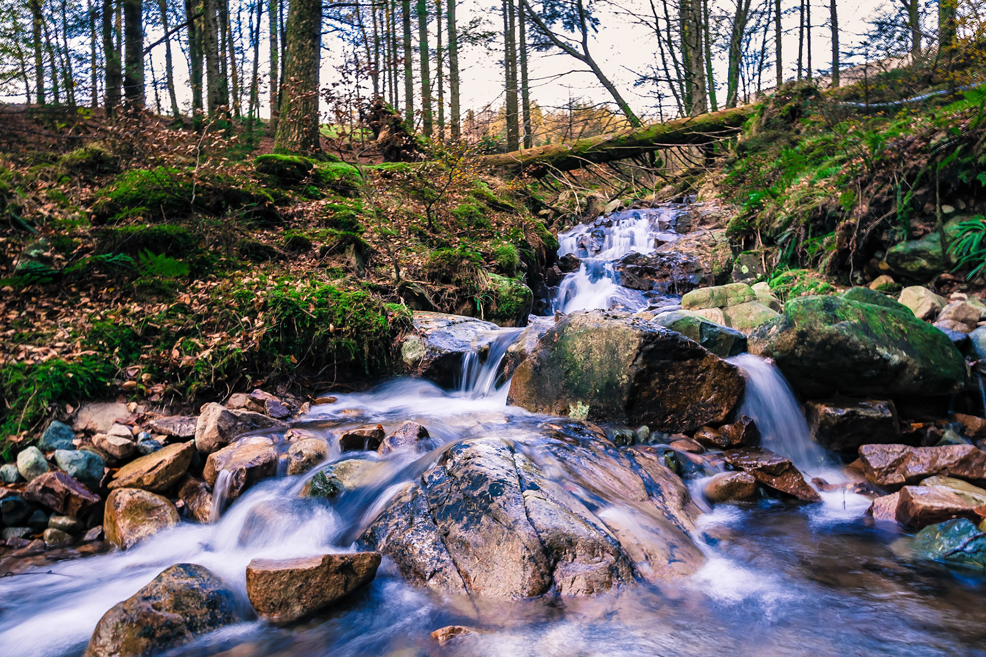 EDF Energy Hydro Electric power.