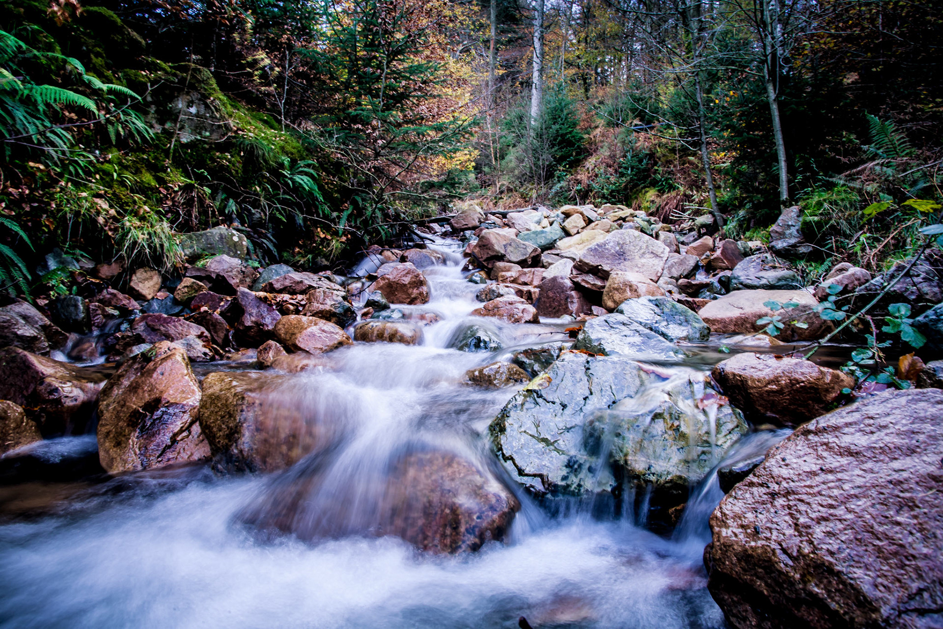 EDF Energy Hydro Electric power.