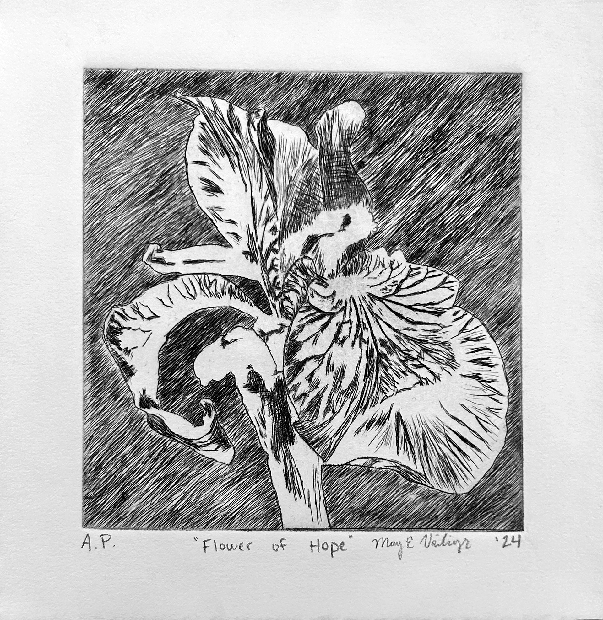 "Flower of Hope" 2024