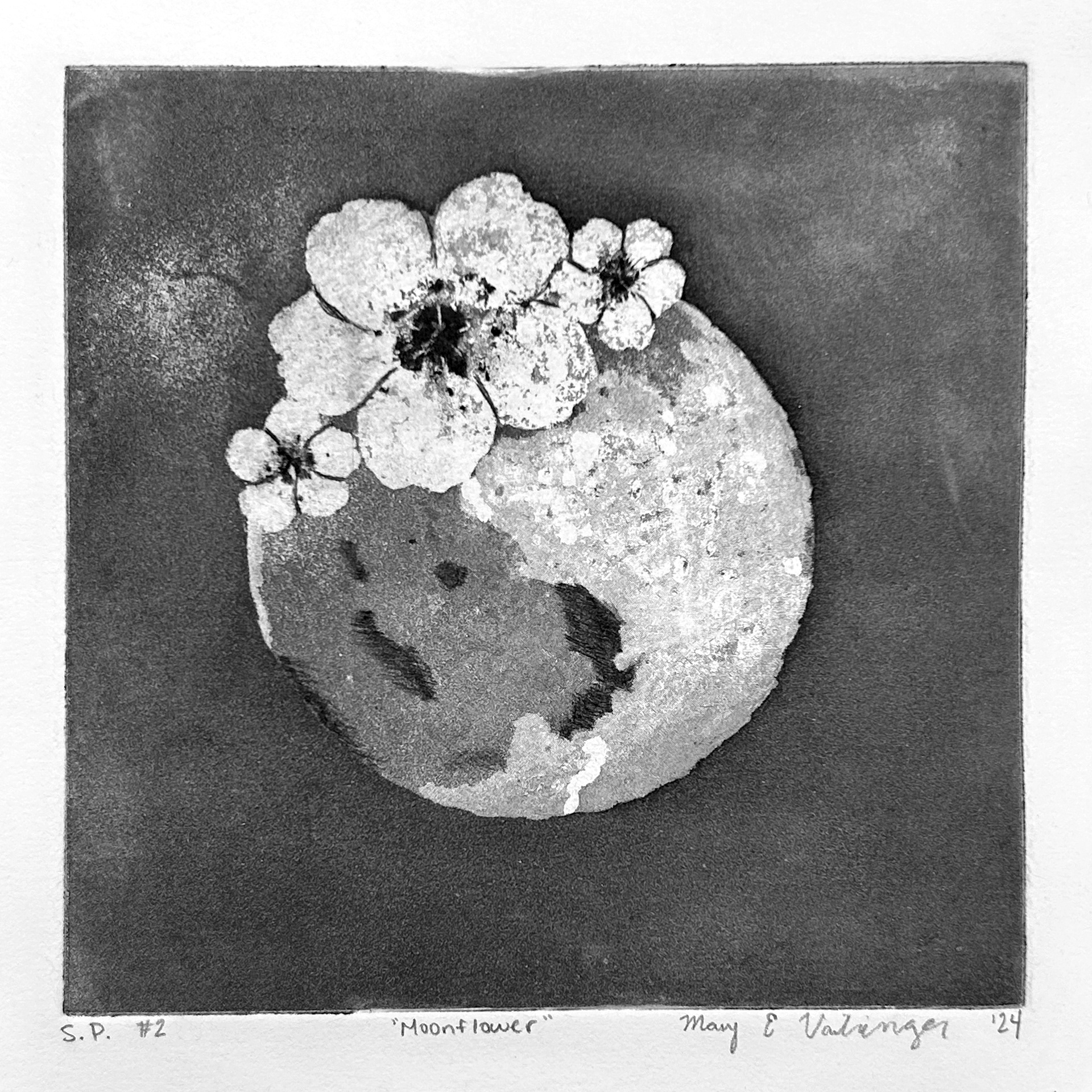 "Moonflower" 2024