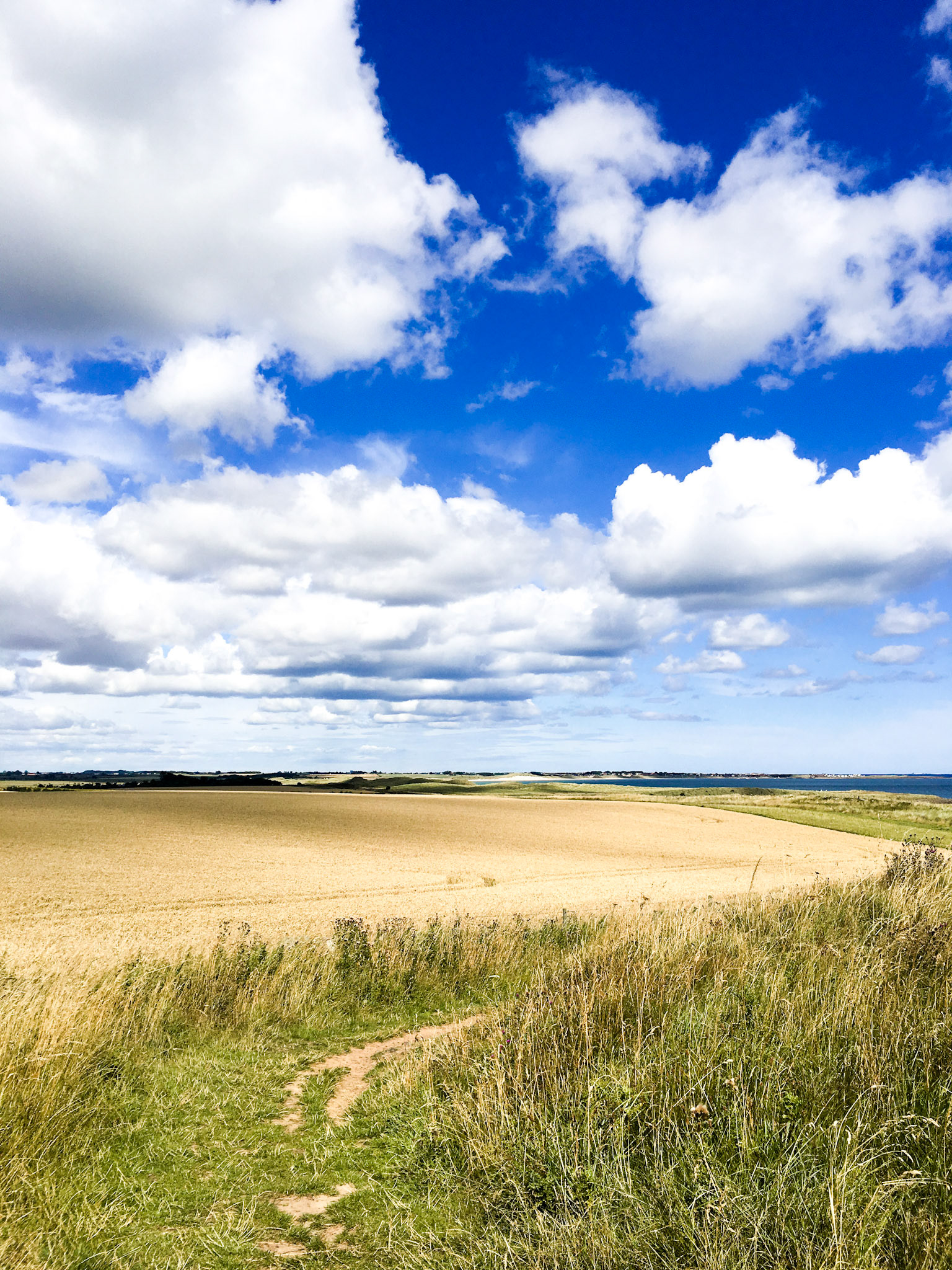 Travelling on the Northumberland Coastal Path, UK
