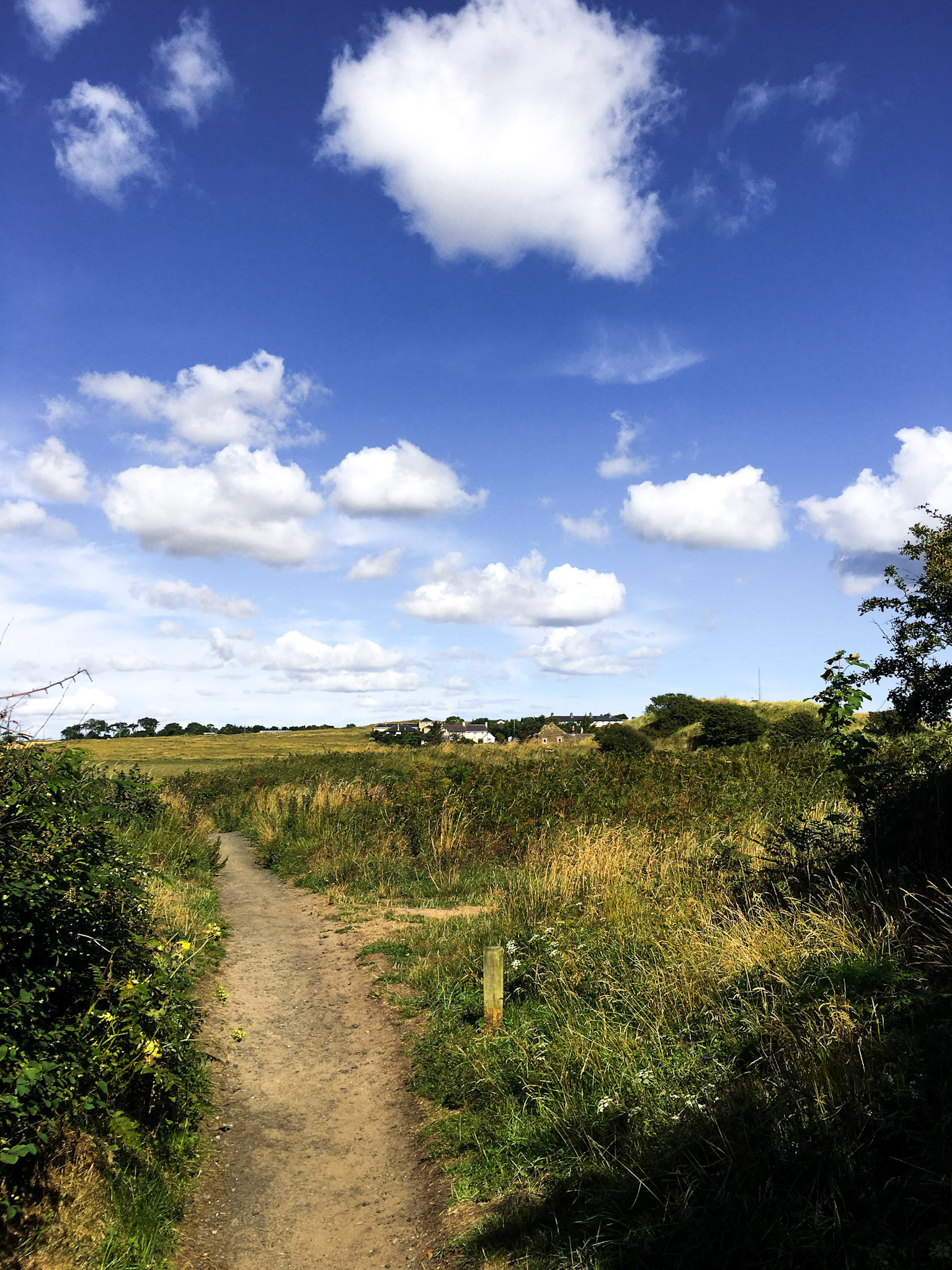 Northumberland Coastal Path, UK