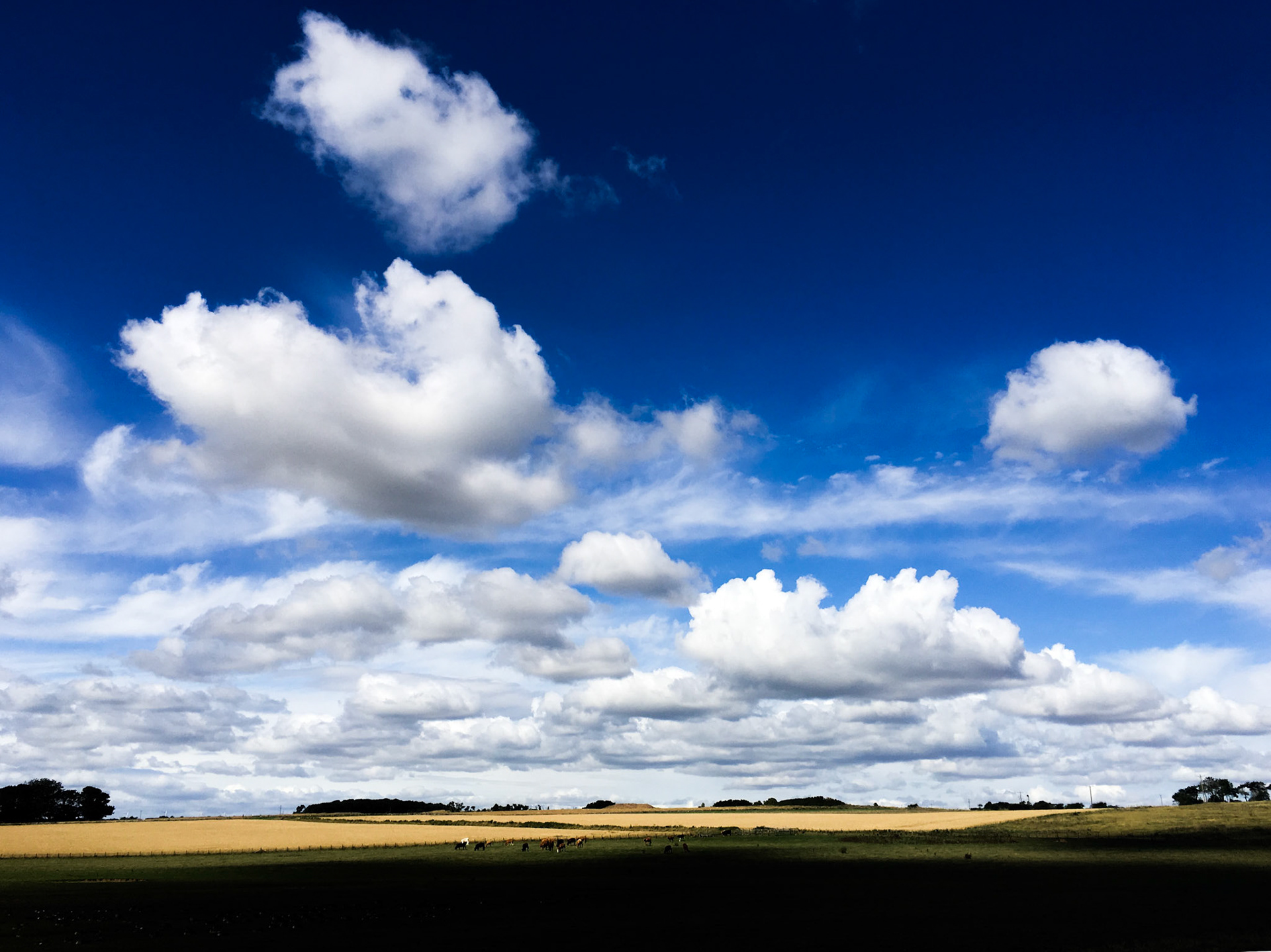 Sky on the Northumberland Coastal Path, UK