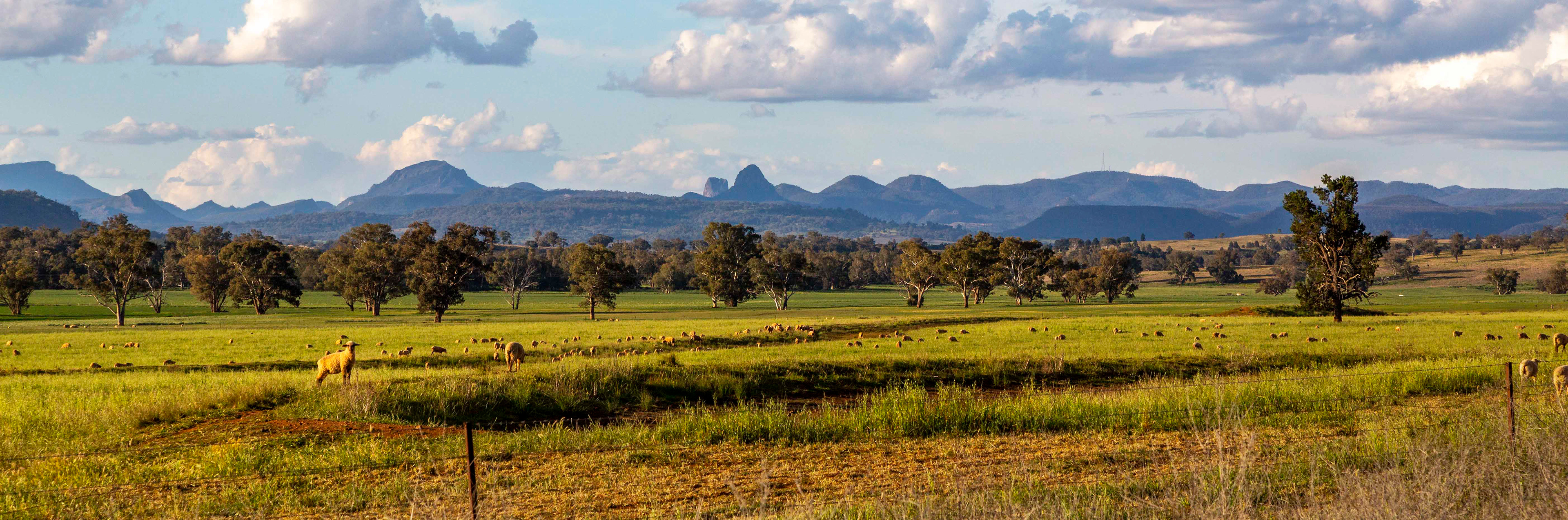 Bearbong Valley