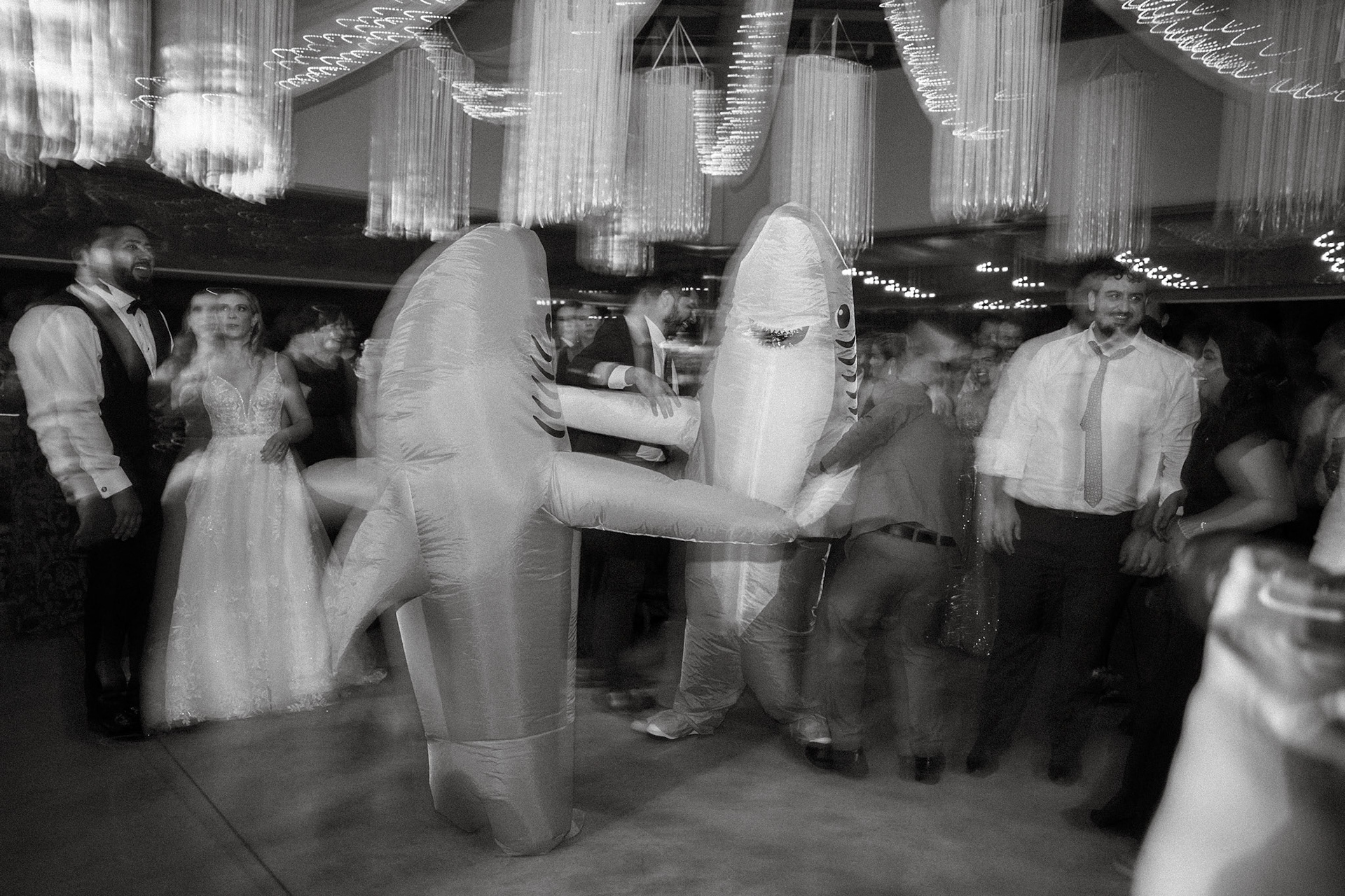 M&B Wedding | Costa Rica | 2024