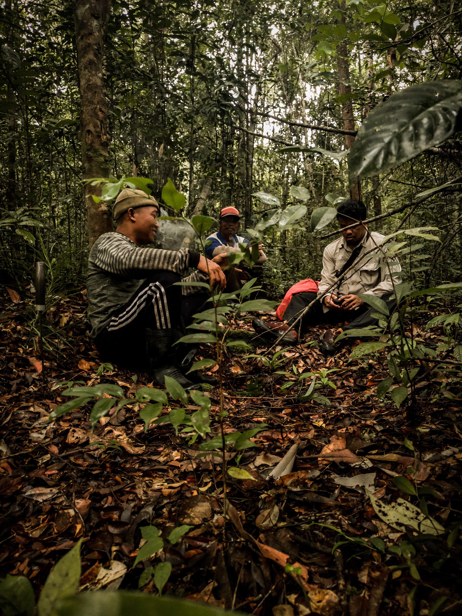 Kahayan Conservation Project