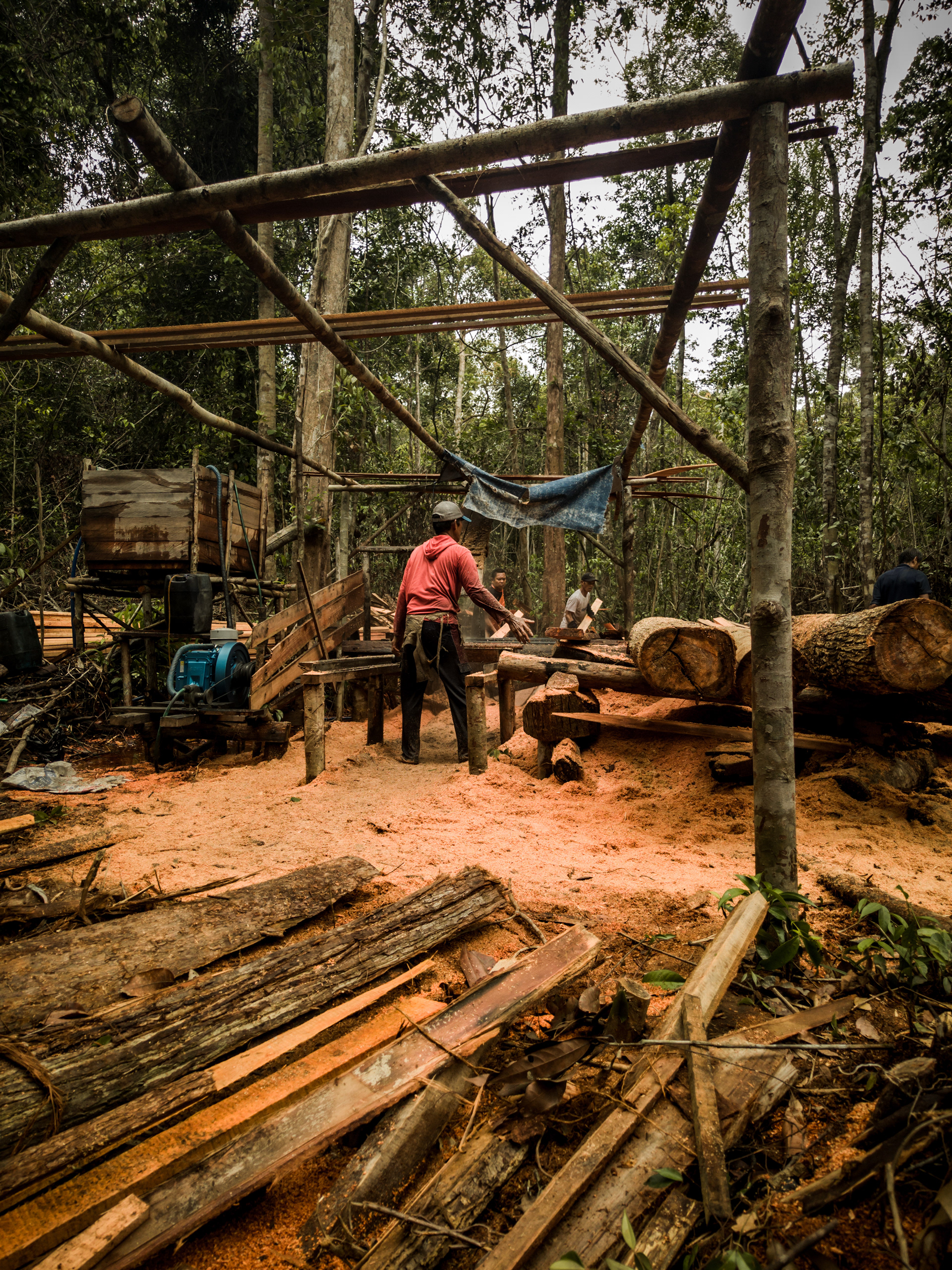 Resolving land conflicts in carbon credit projects