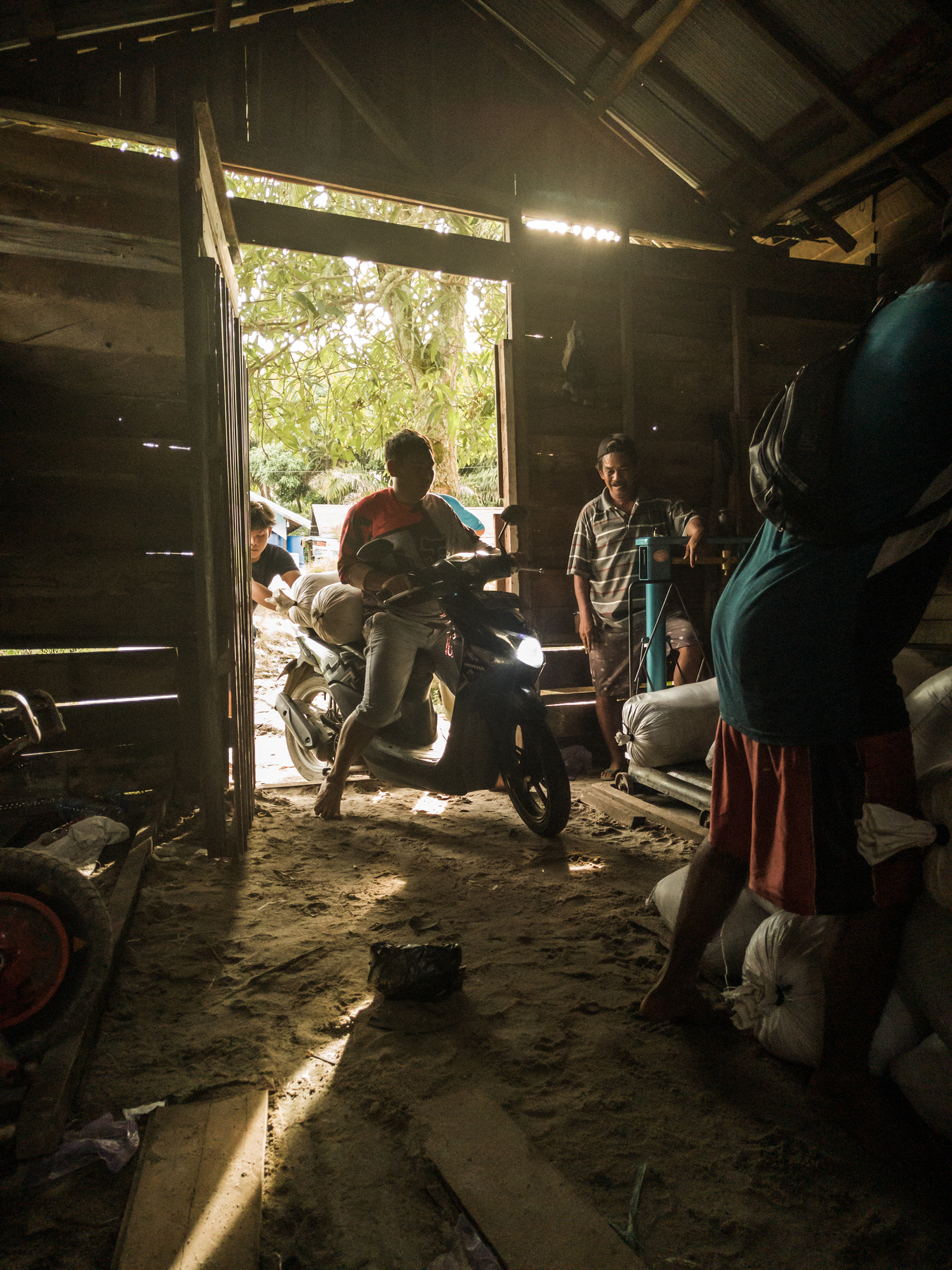 Visual storytelling for environmental conservation