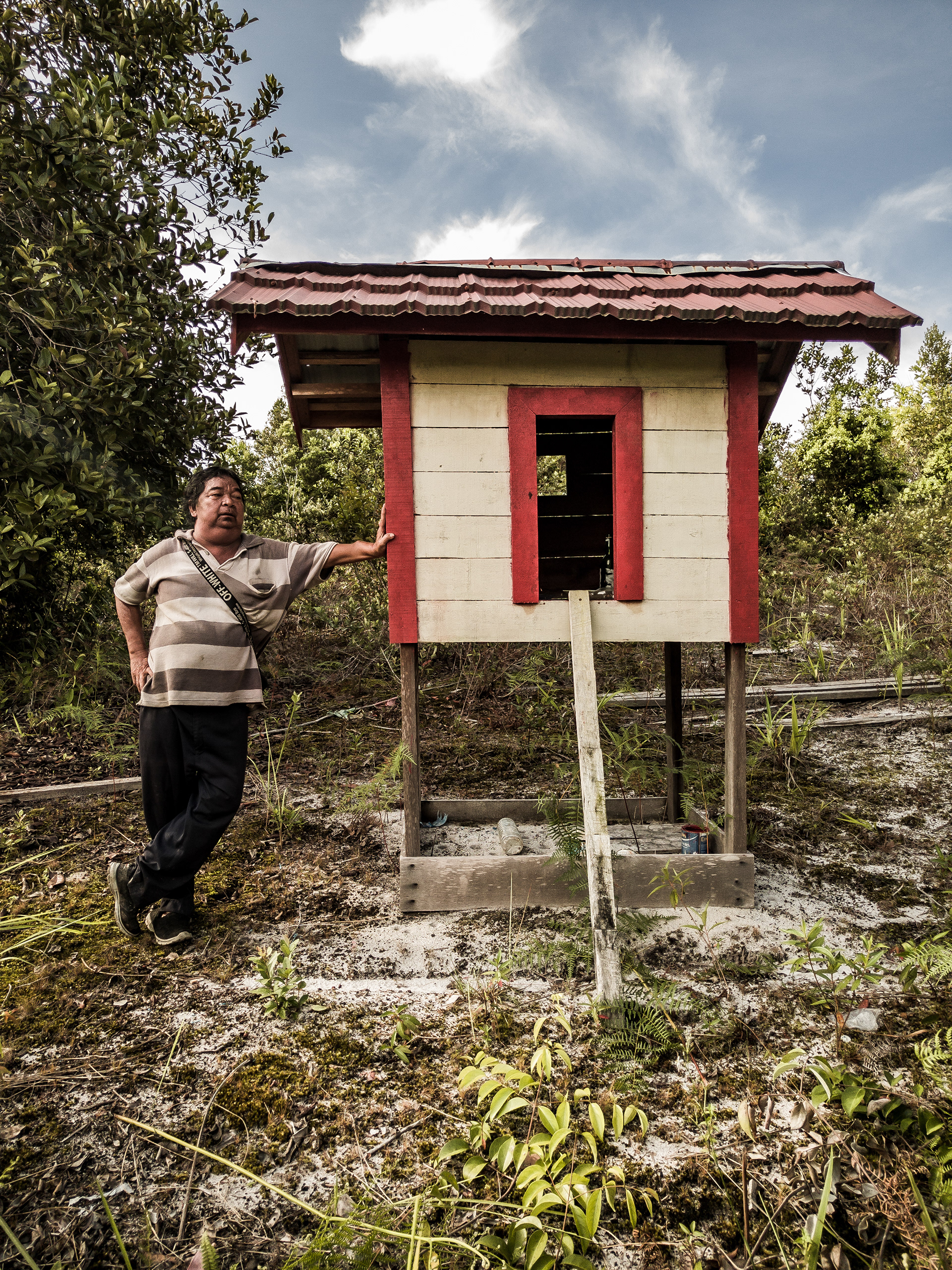 Carbon Credit Social Baseline