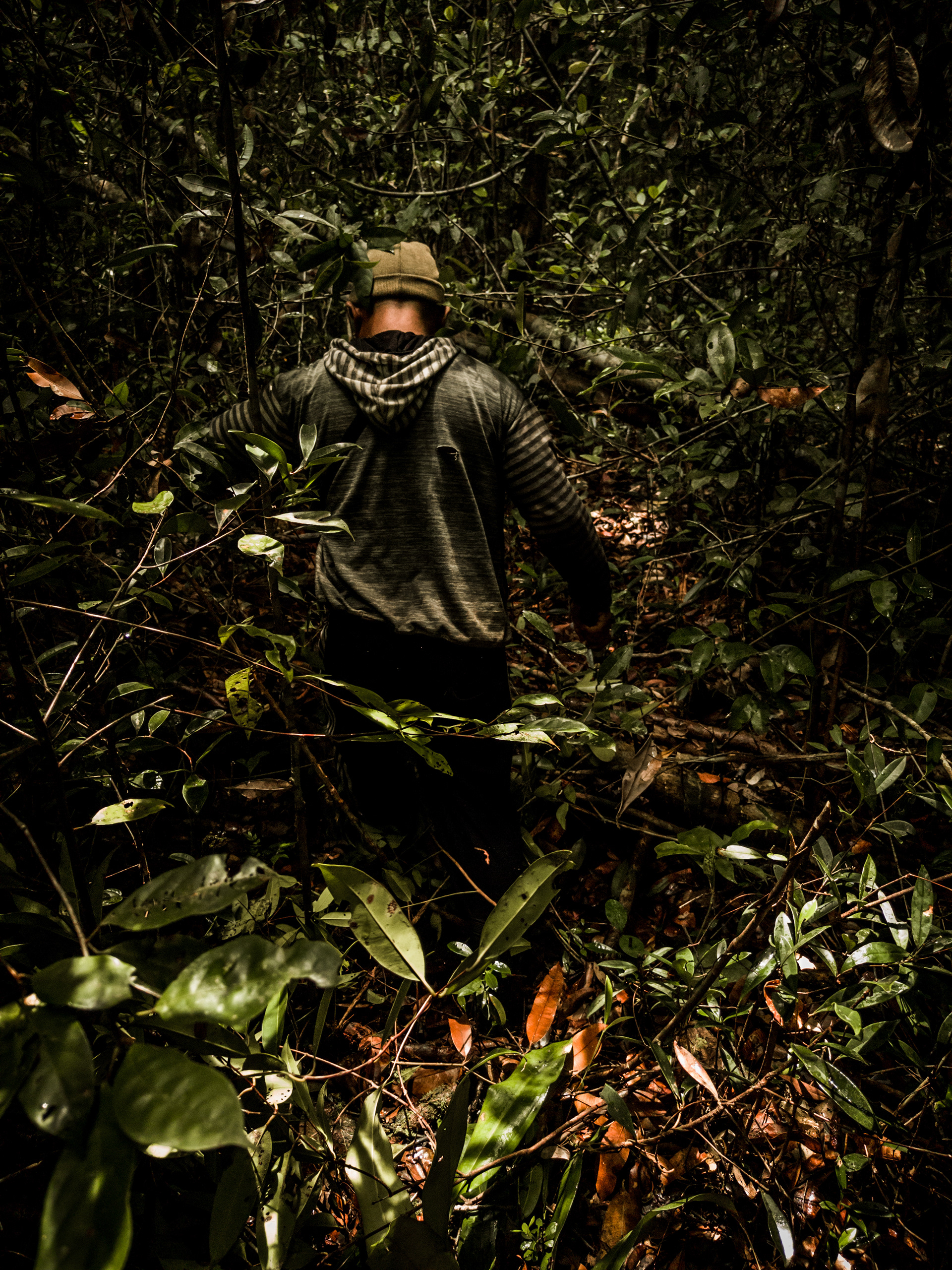 Kahayan Conservation Project