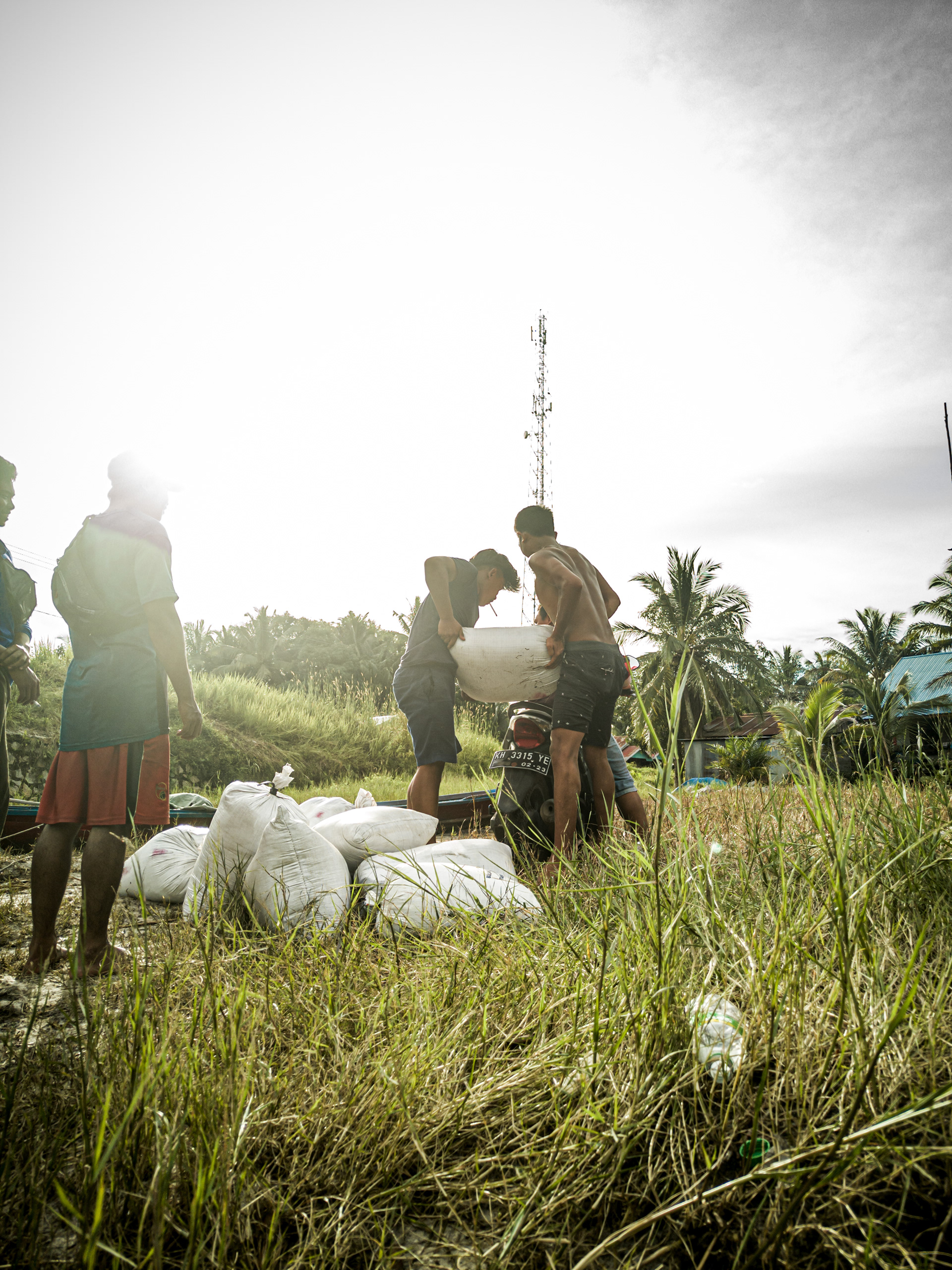  Resolving land conflicts in carbon credit projects