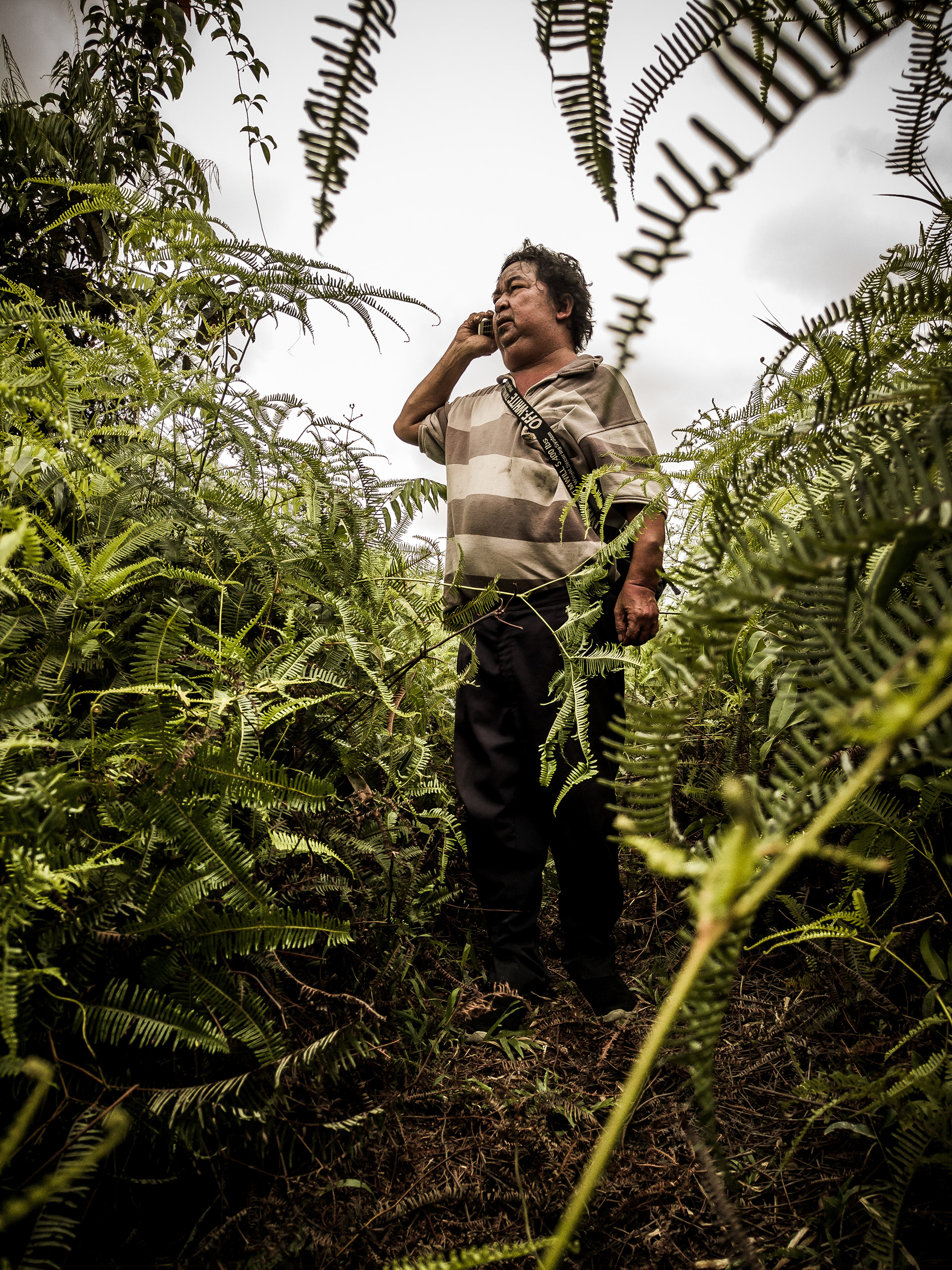 Resolving land conflicts in carbon credit projects
