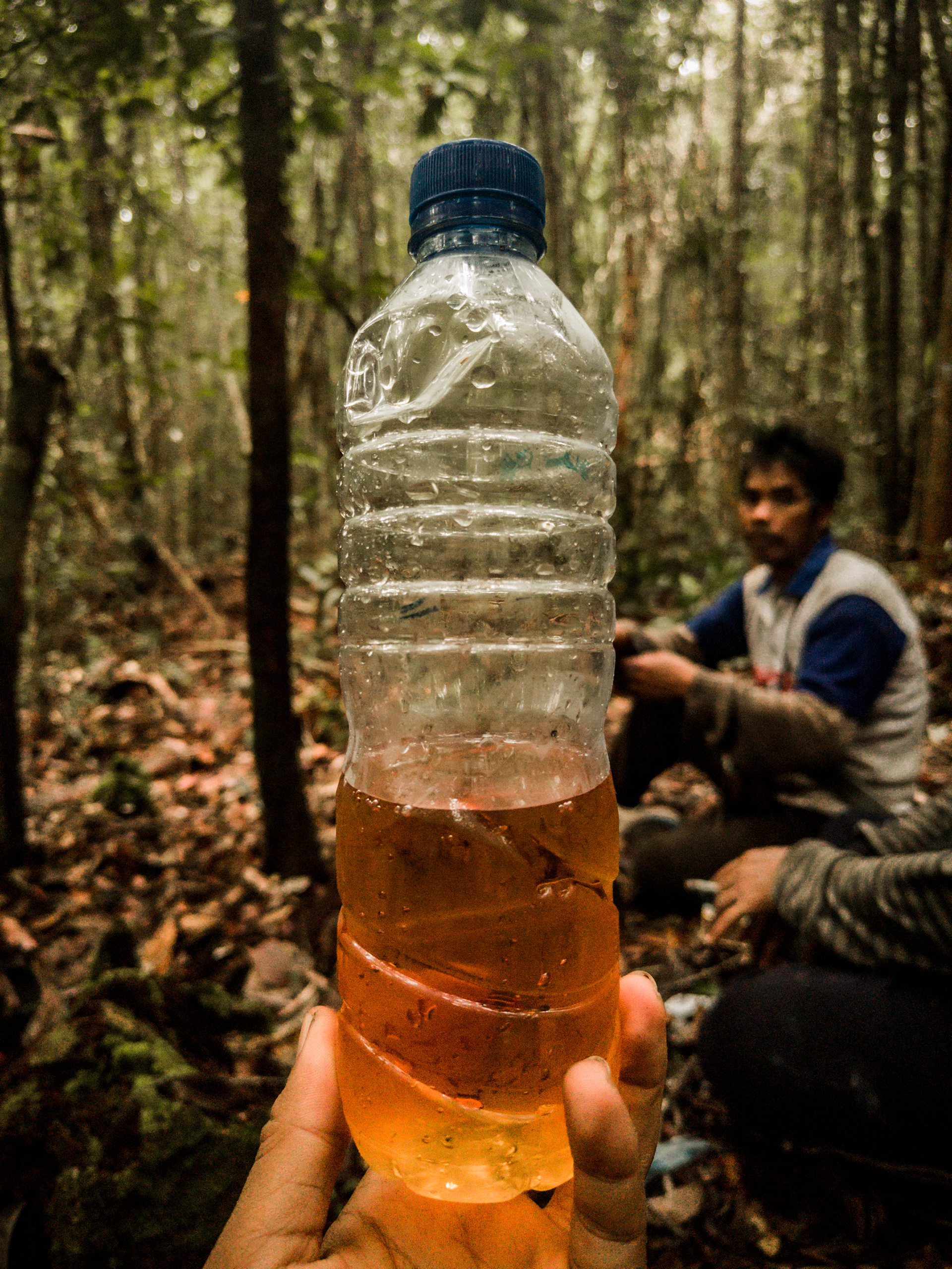 Climate Community & Biodiversity (CCB) Standards