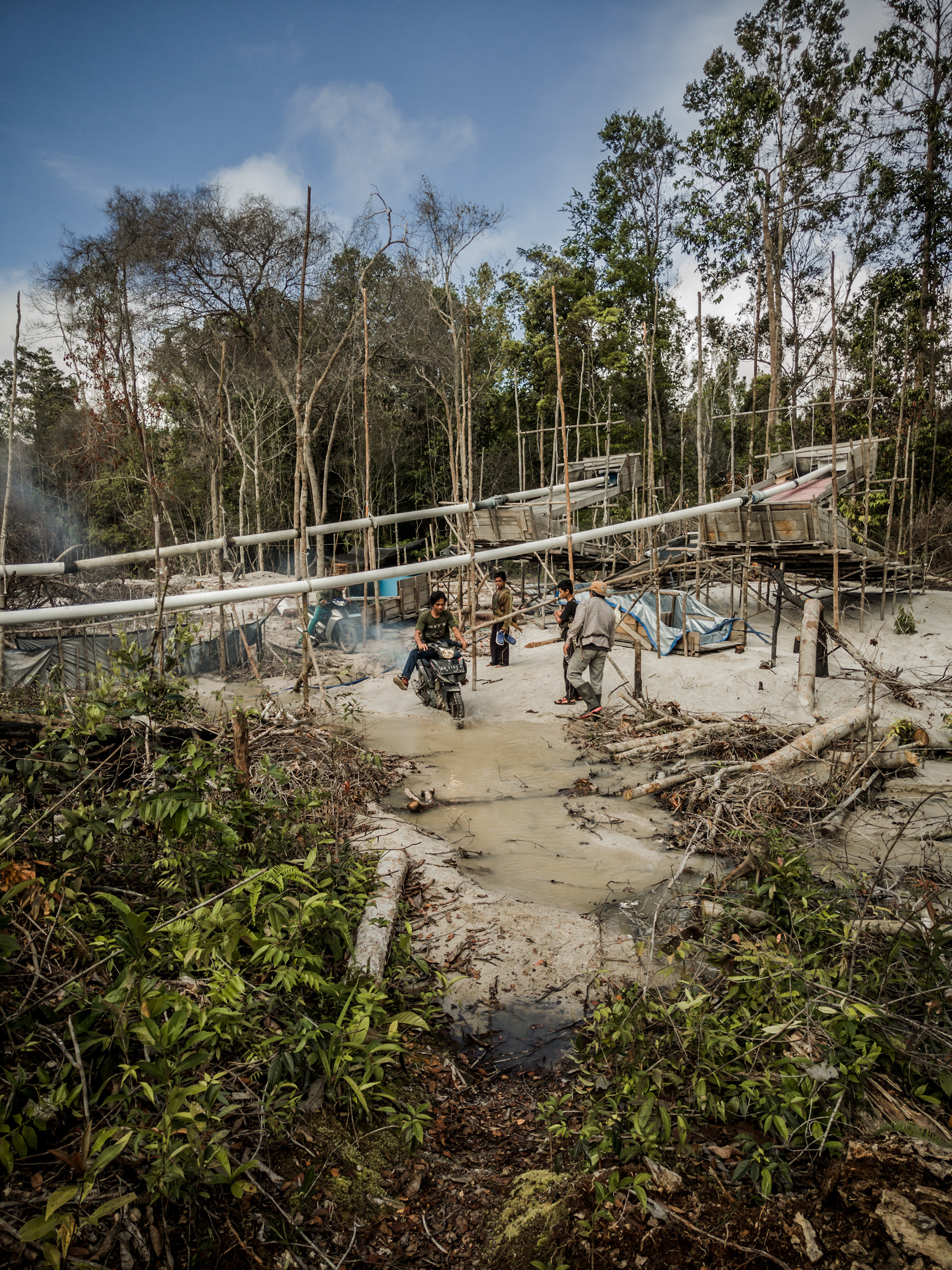 Resolving land conflicts in carbon credit projects