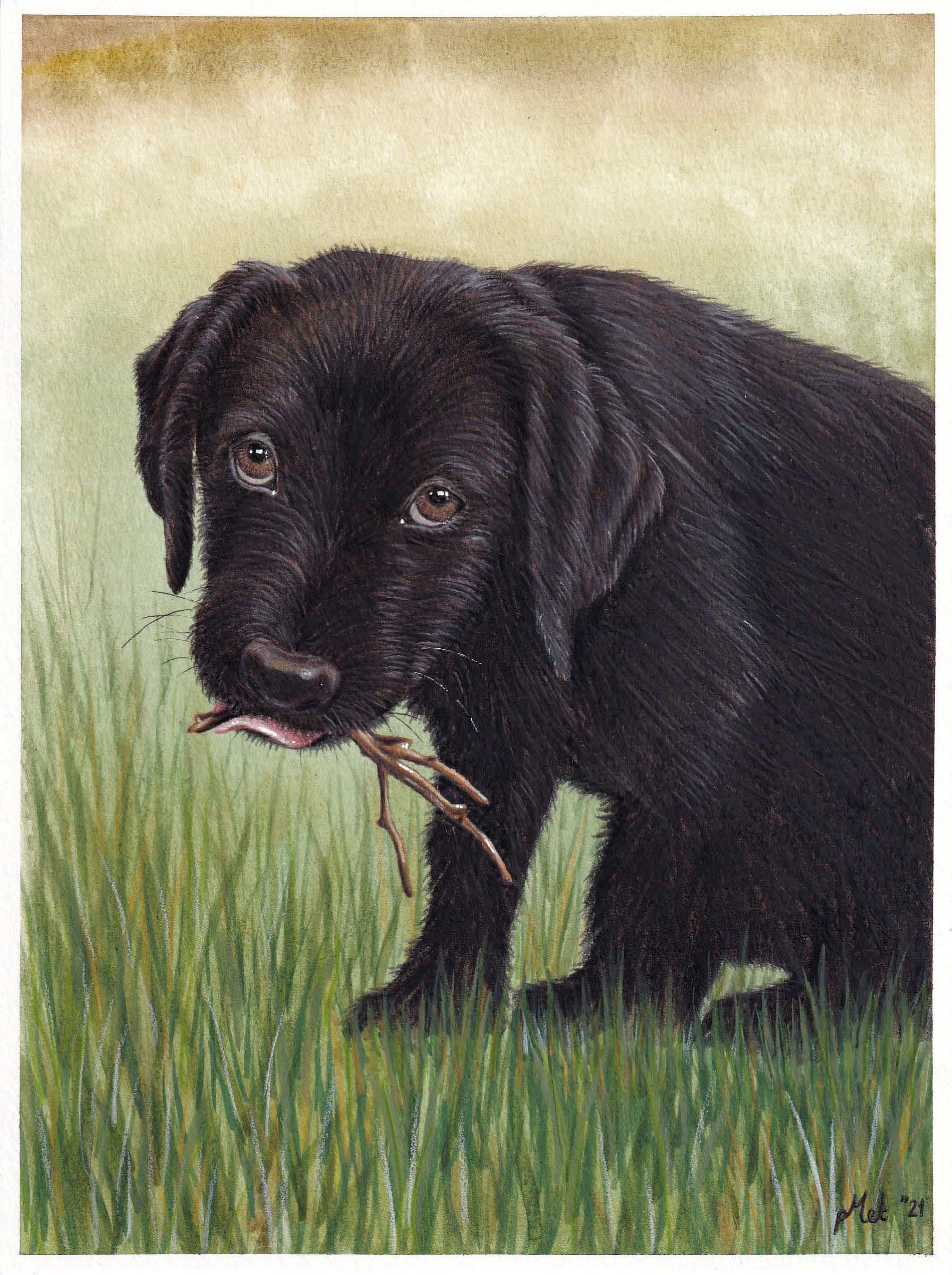 Commissioned portrait of Archie as a puppy