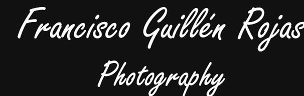 FRANCISCO GUILLEN ROJAS