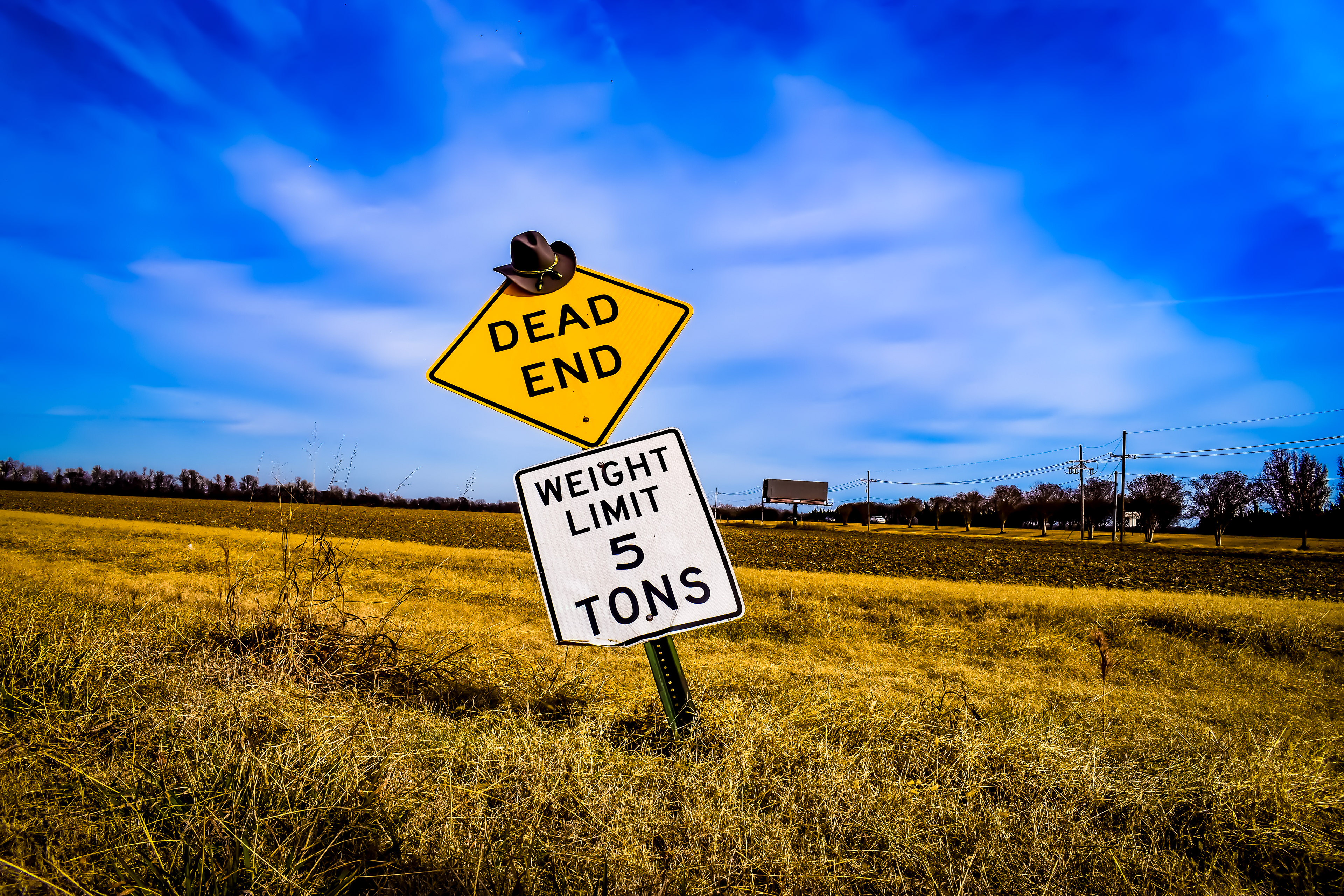 Worlds Dead End 12/14/2023
