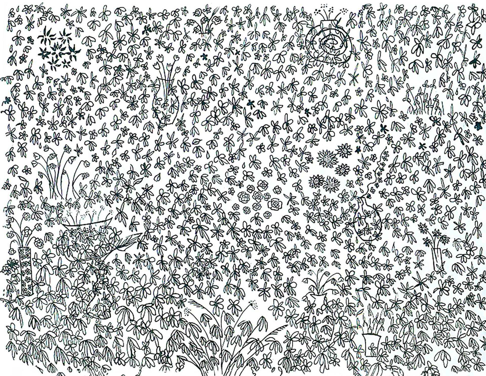 Floral Garden