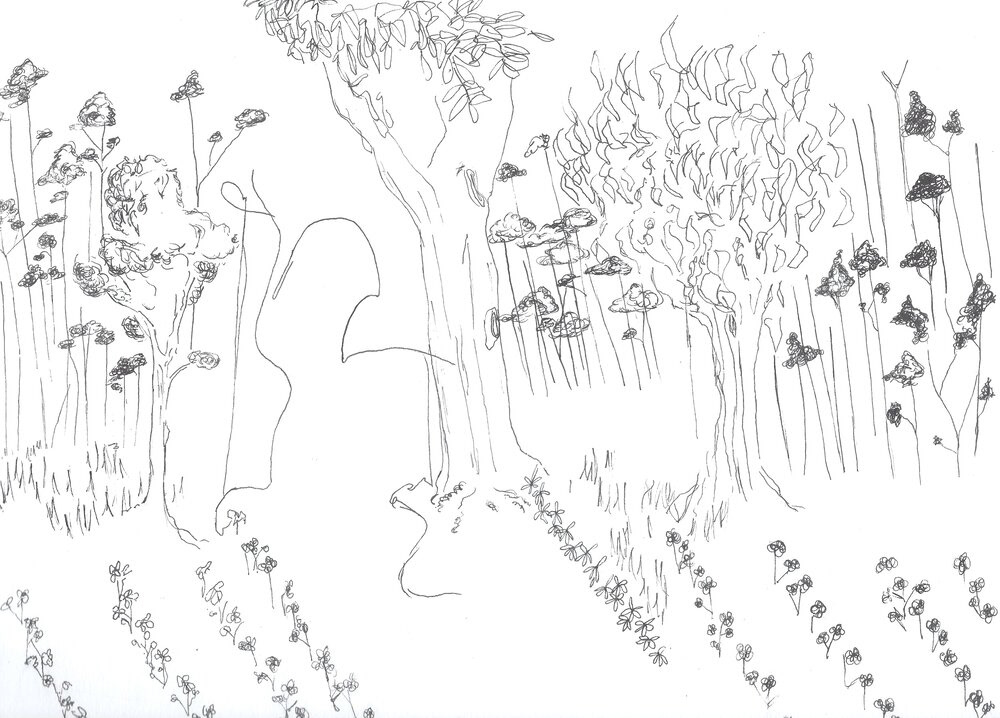 The Cotton Picker