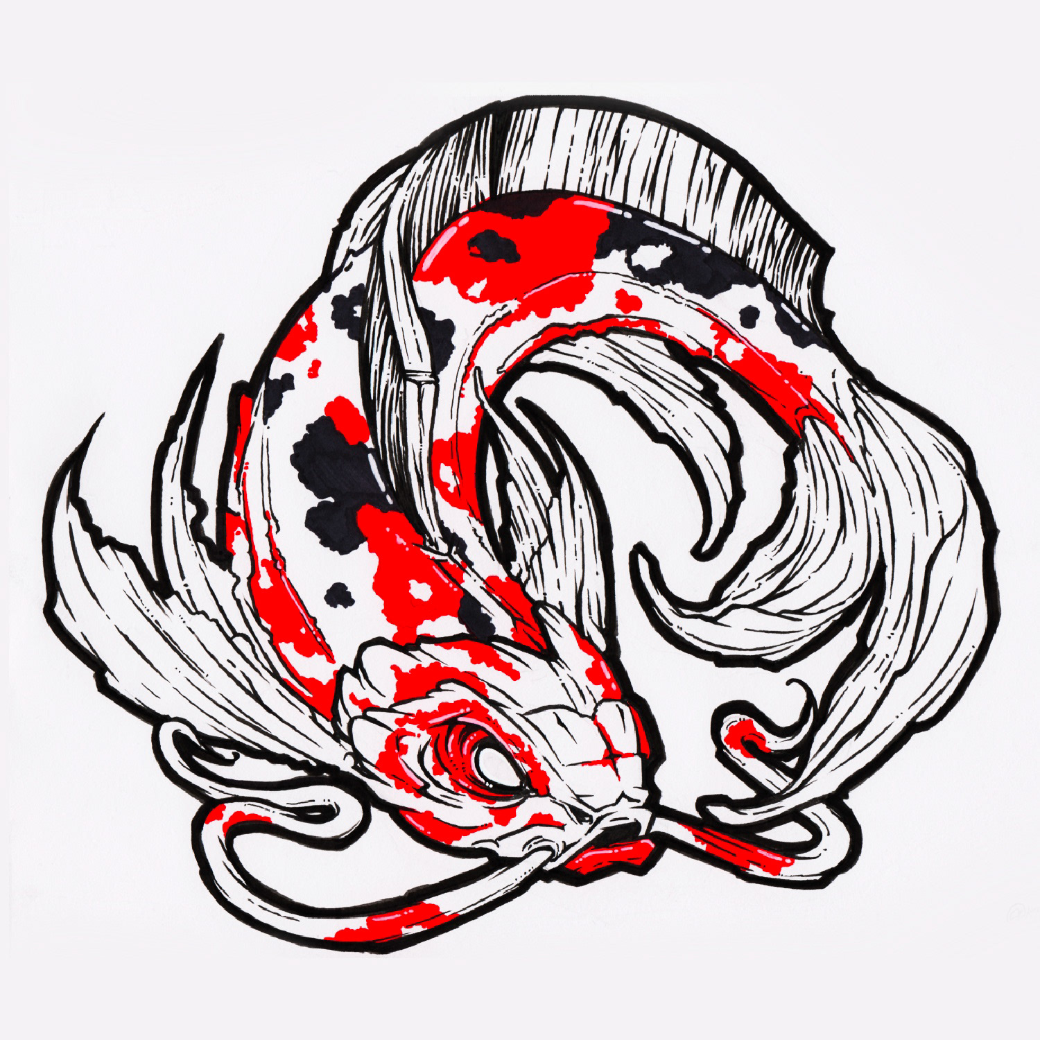 Koi 2017