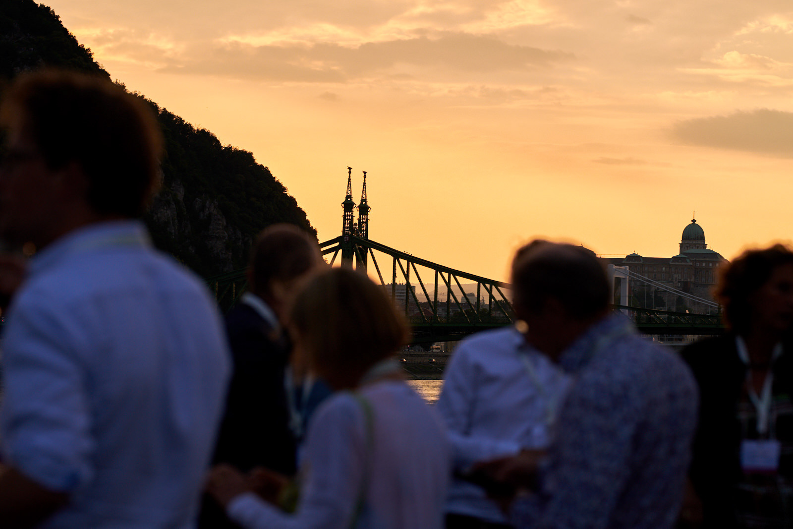 Photo of the participants  and Szabadsag Bridge in the sunset.