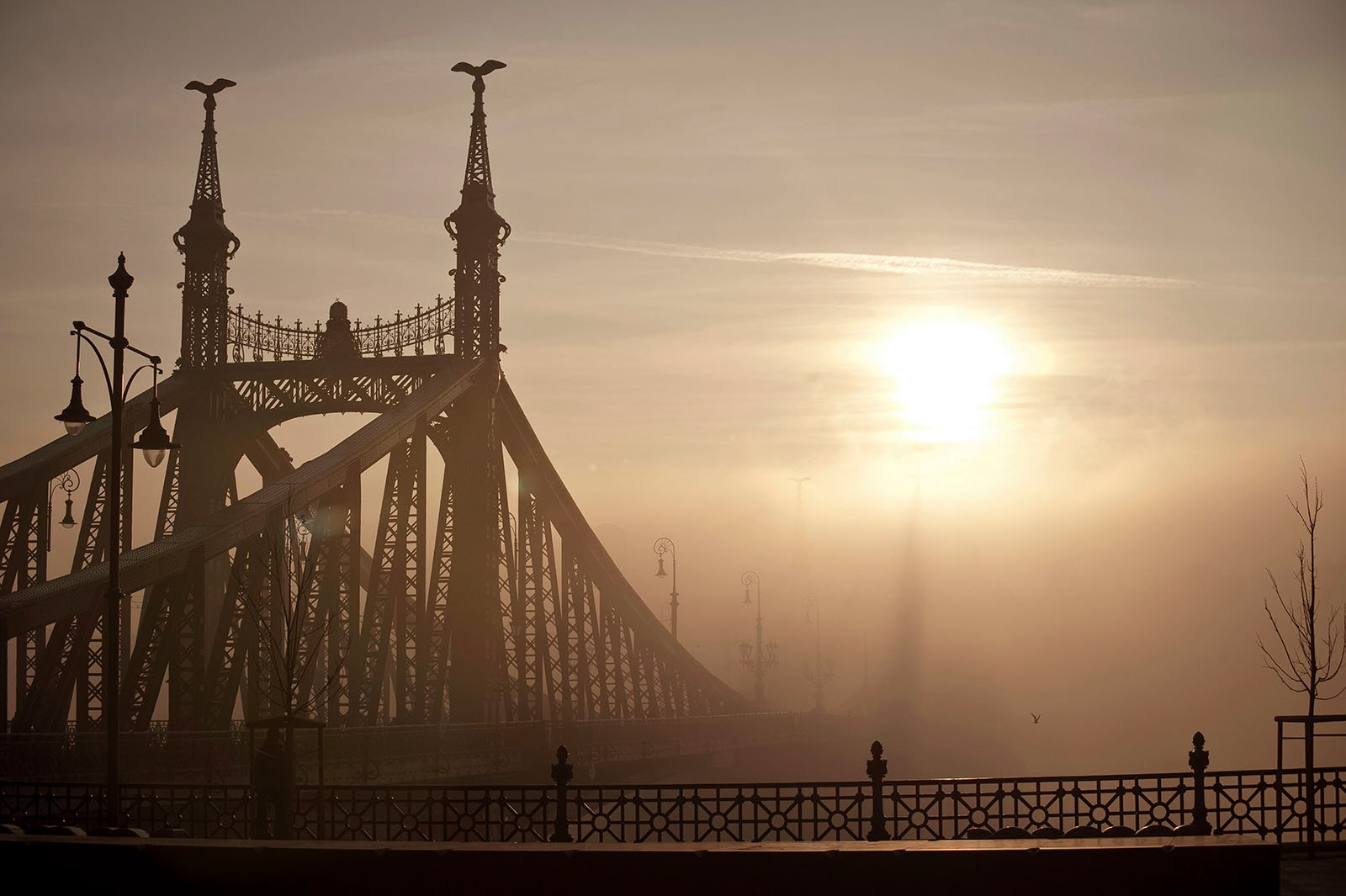 Liberty Bridge Budapest