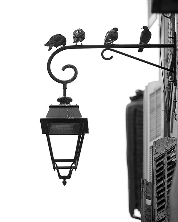 Pigeons and a street lamp