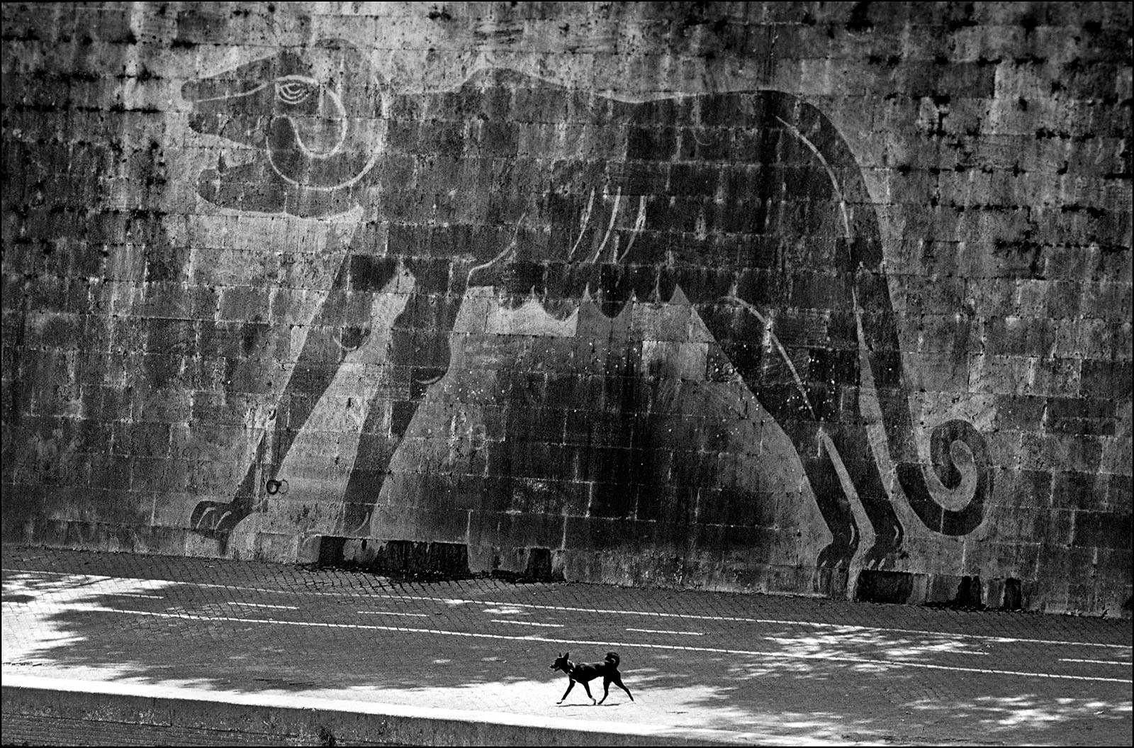 professional photographer Budapest