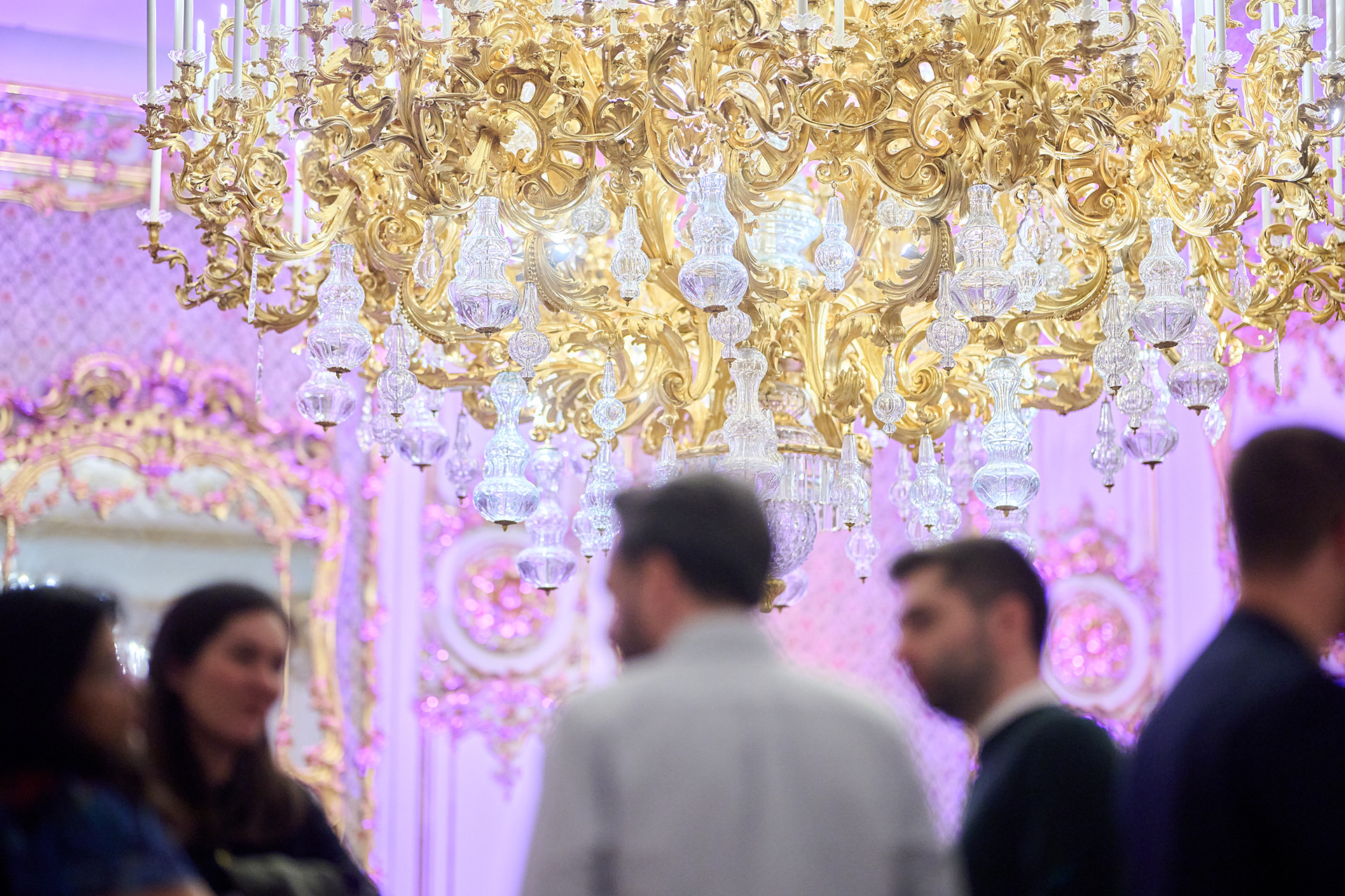 Capturing the Mood of a Corporate Event in Vienna Palais Liechtenstein