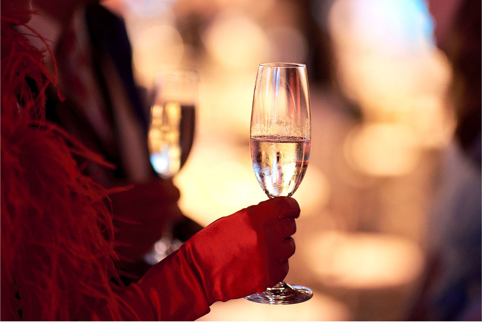 Elegant lady on a high profile gala event in Budapest