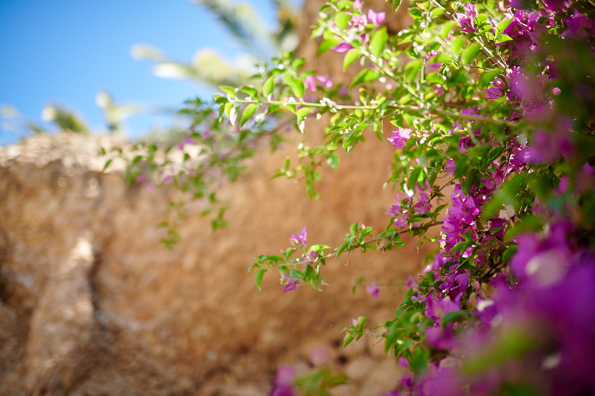 Photo shot at the Park Güell