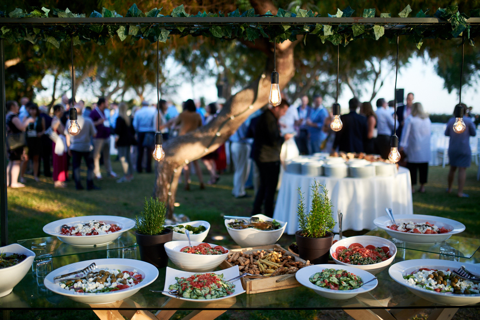 Catering at the evening party