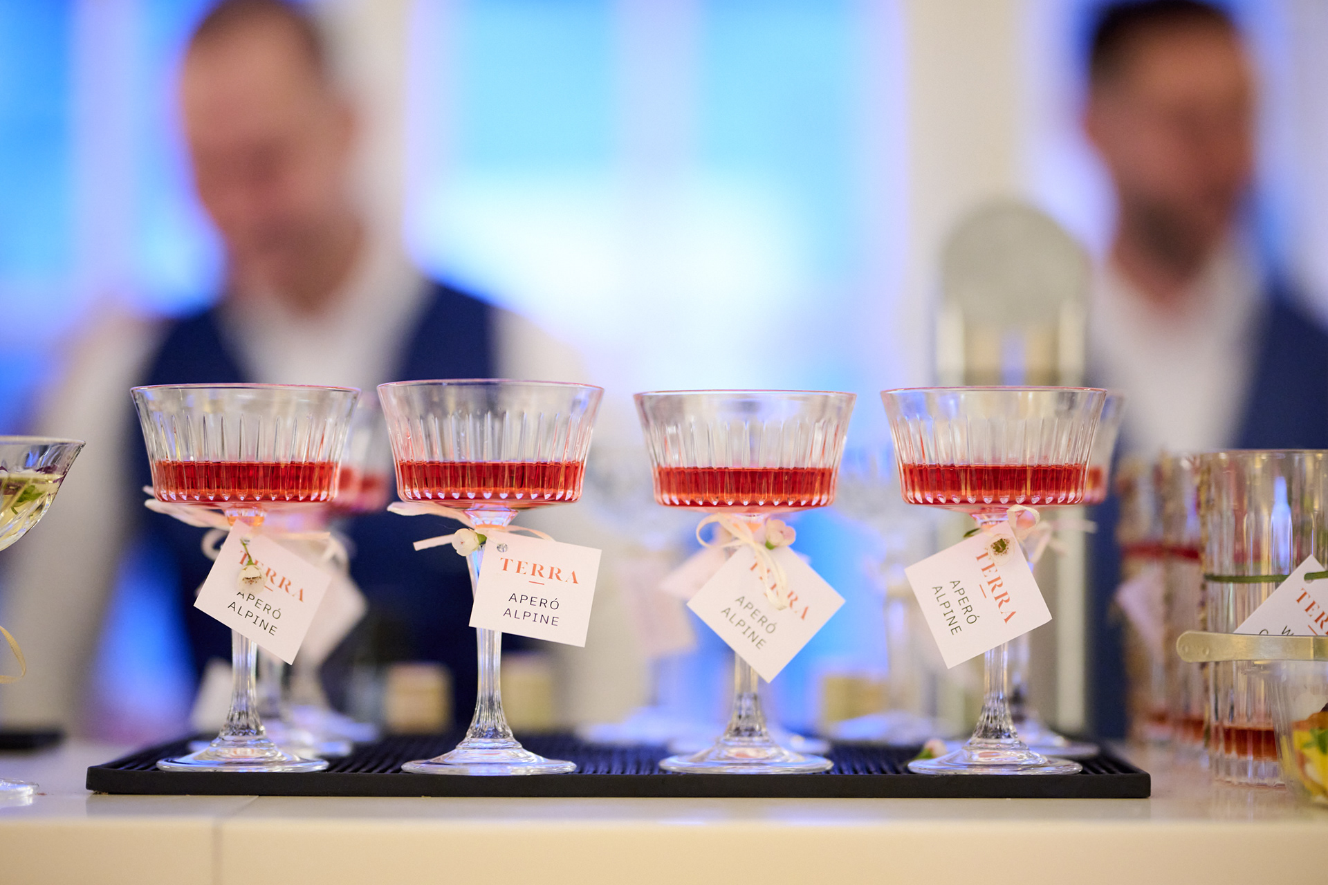 ECR Medical congress gala dinner with delegates and industry professionals in Vienna