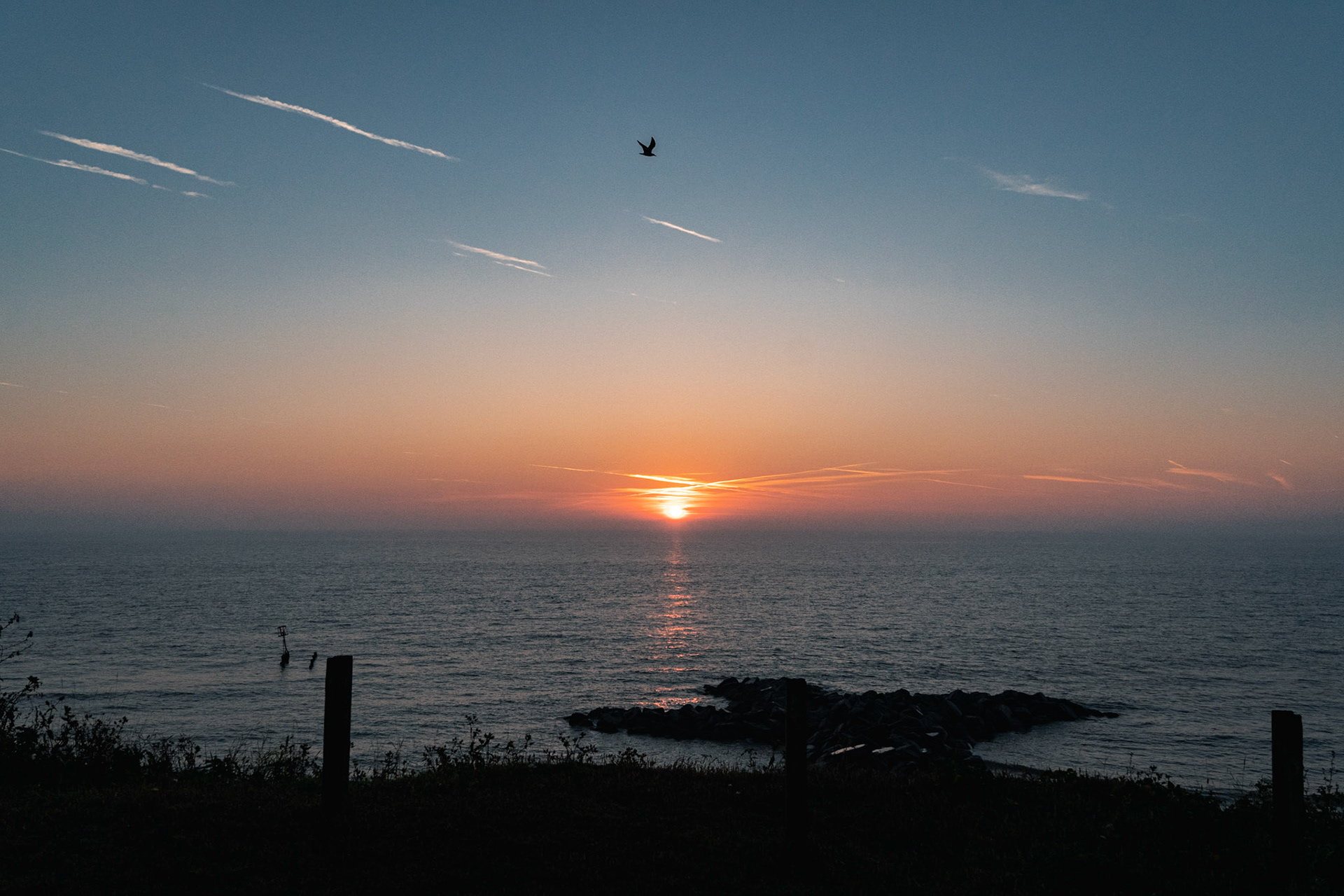 Morning Mood (Peer Gynt Suite No. 1, Op. 46)