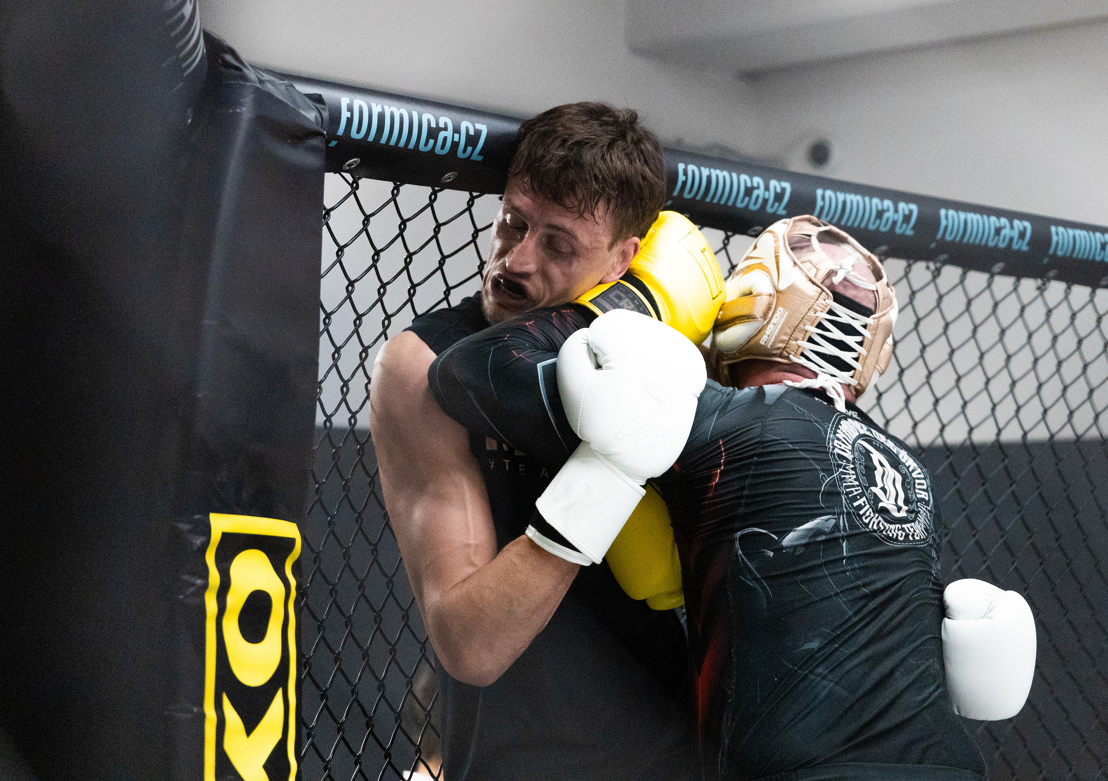 Reinders MMA