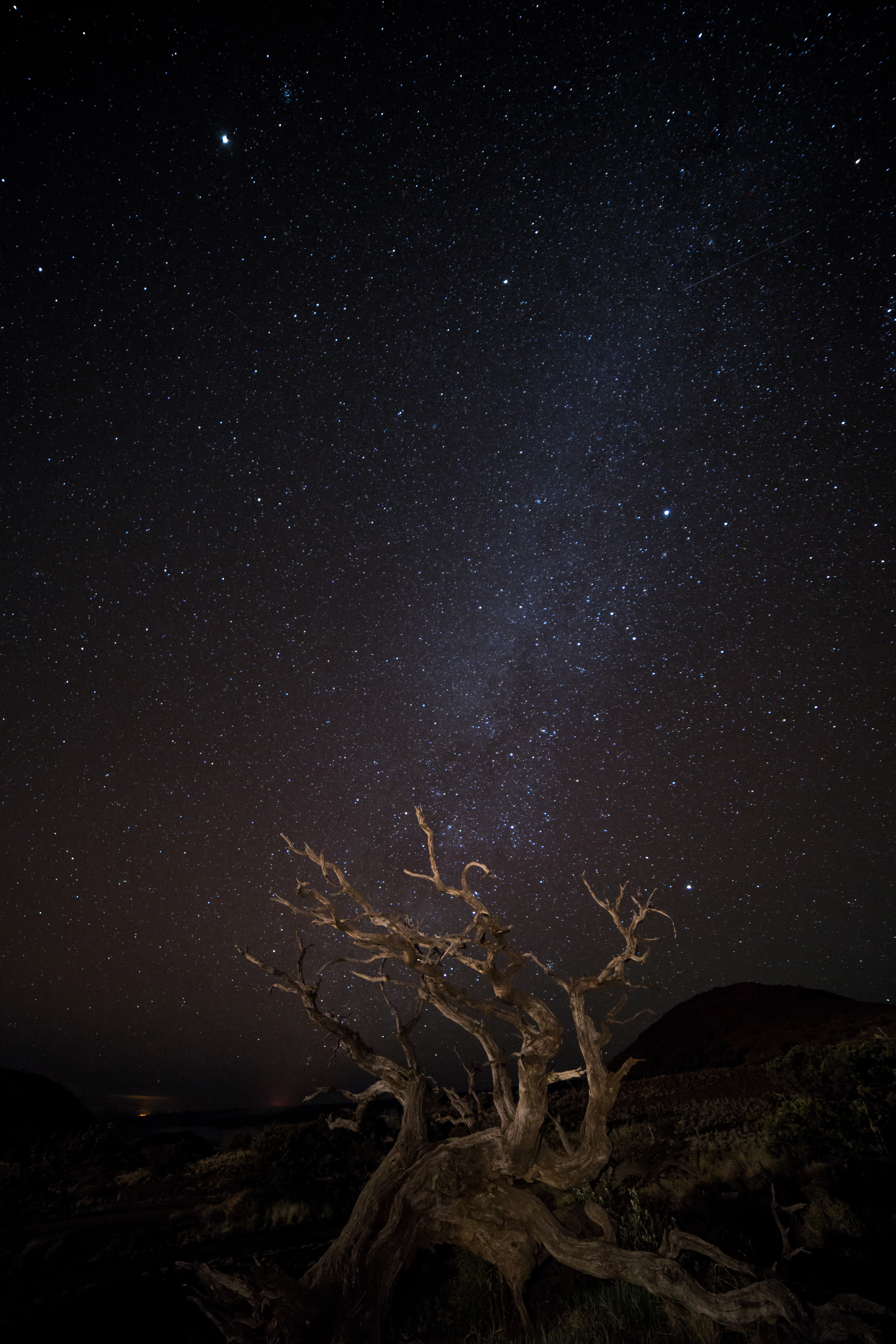 Mauna Kea