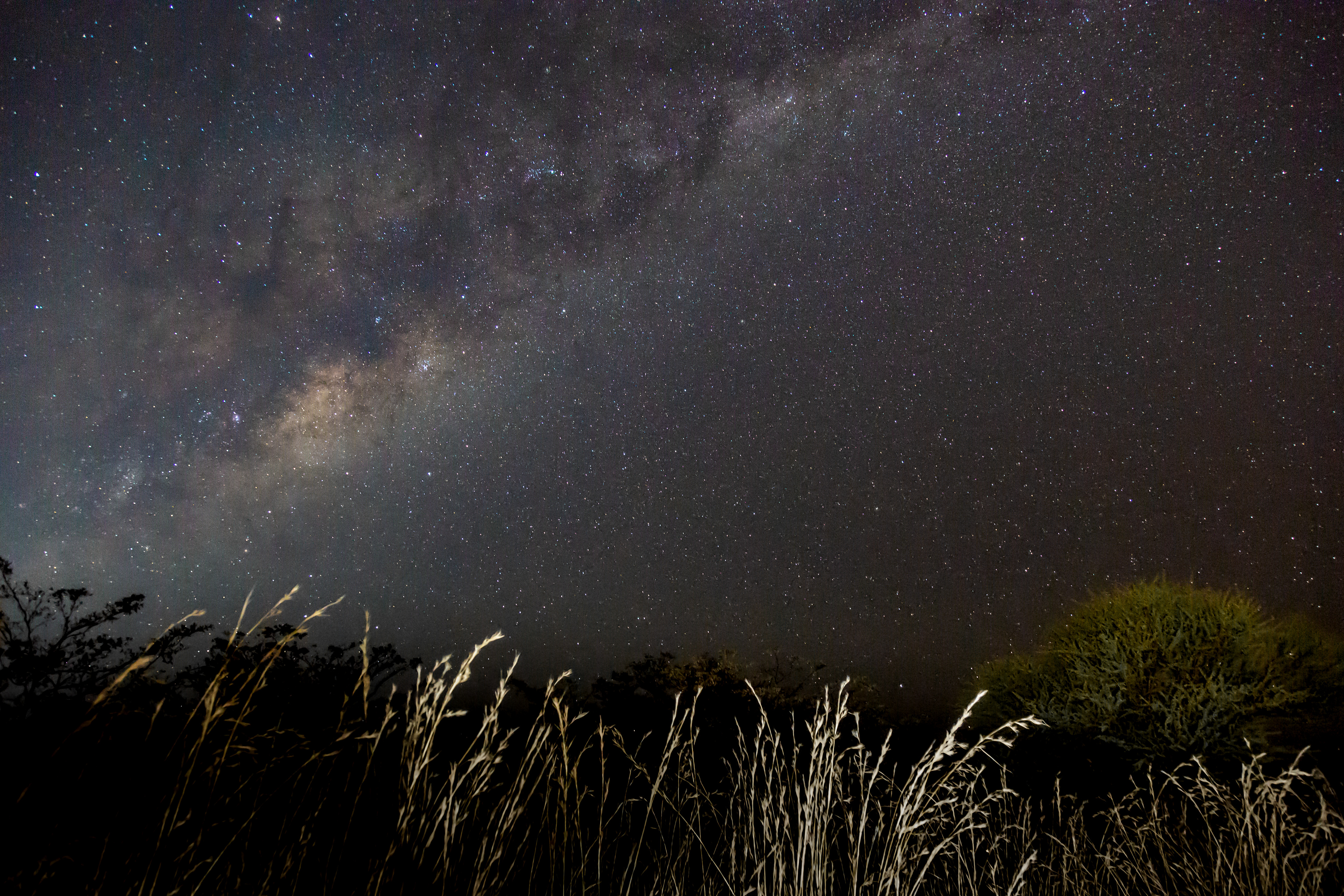 African Savannah skies