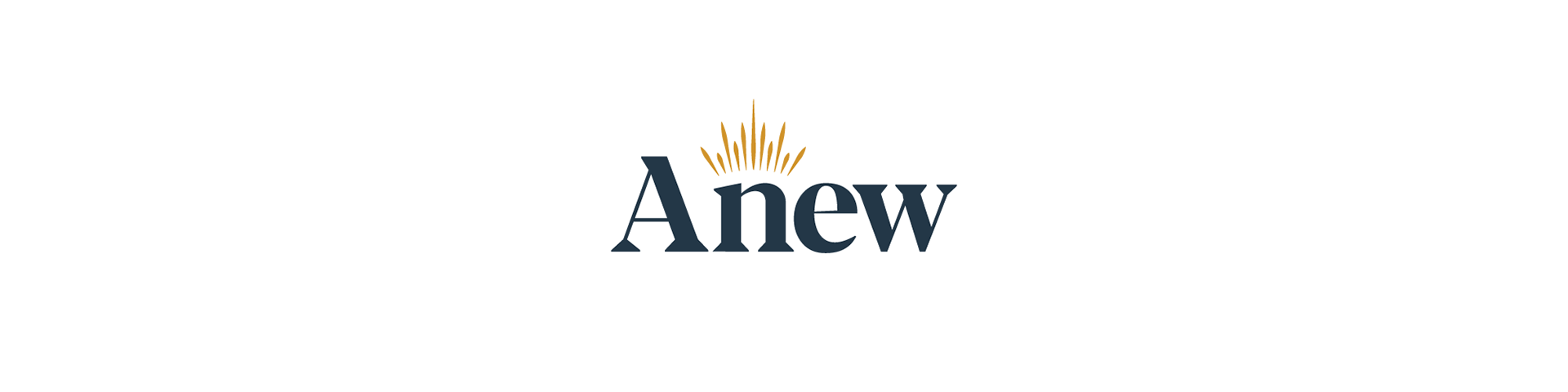 Anew logo