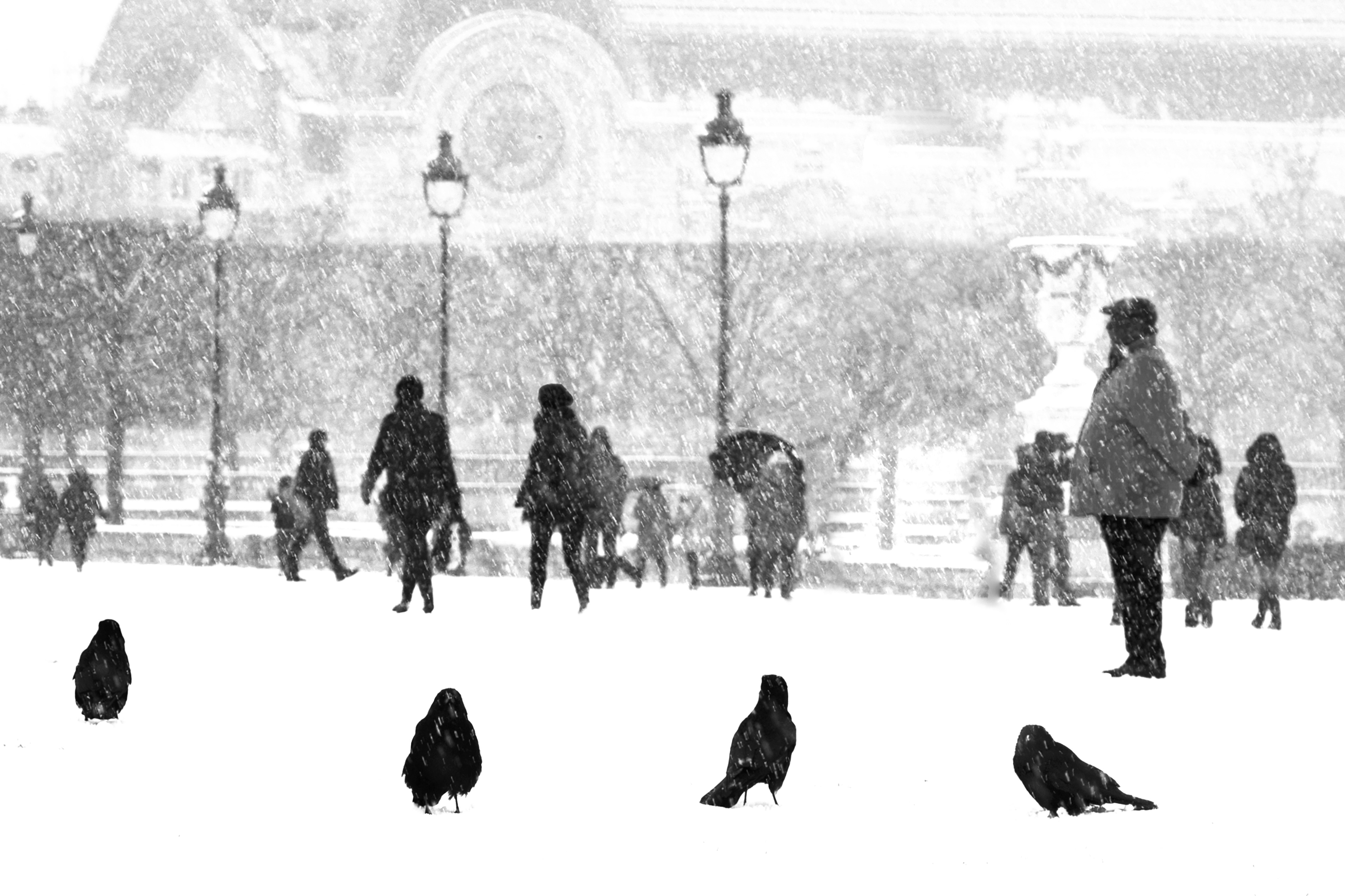 Jour de neige