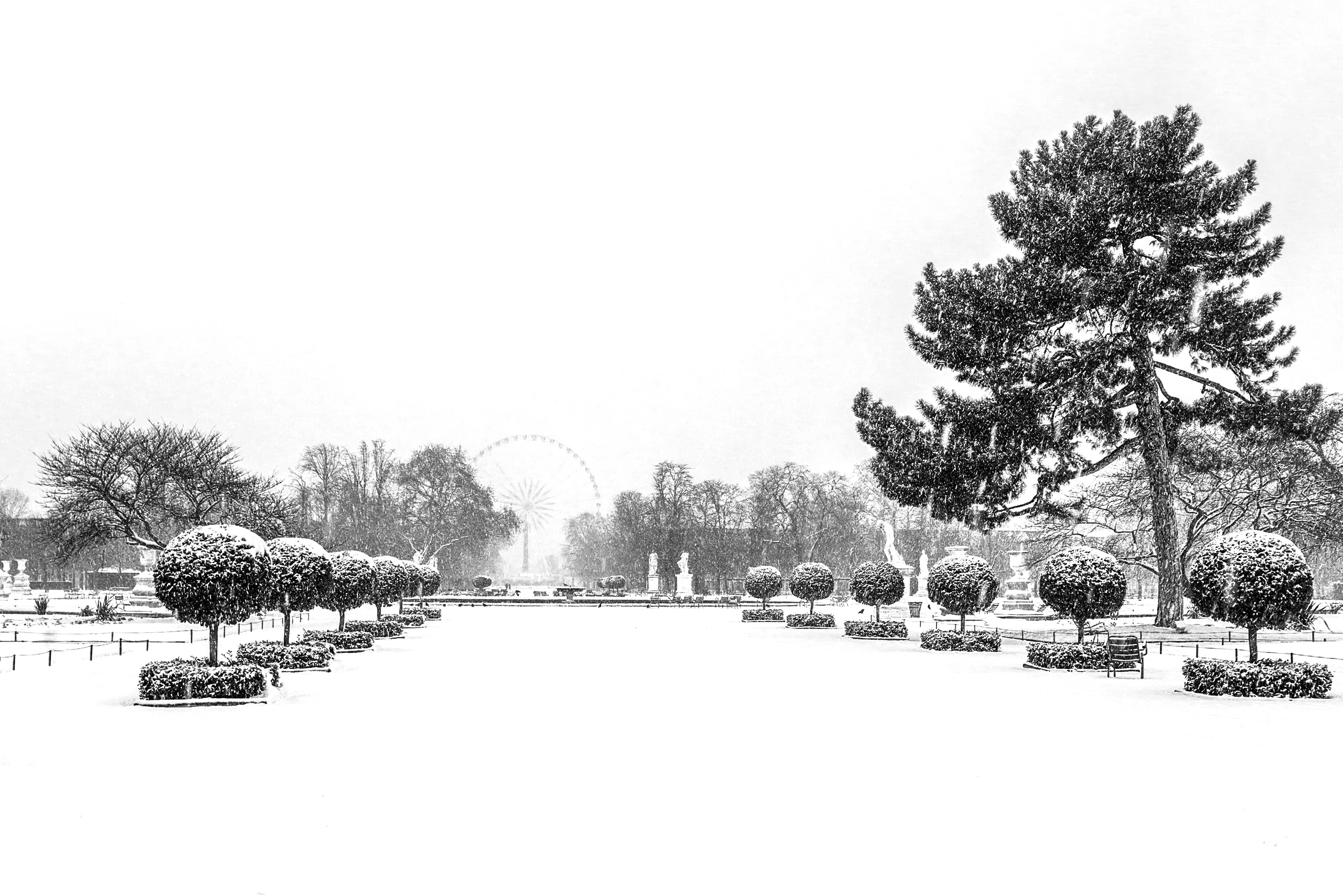 Jardin des Tuileries
