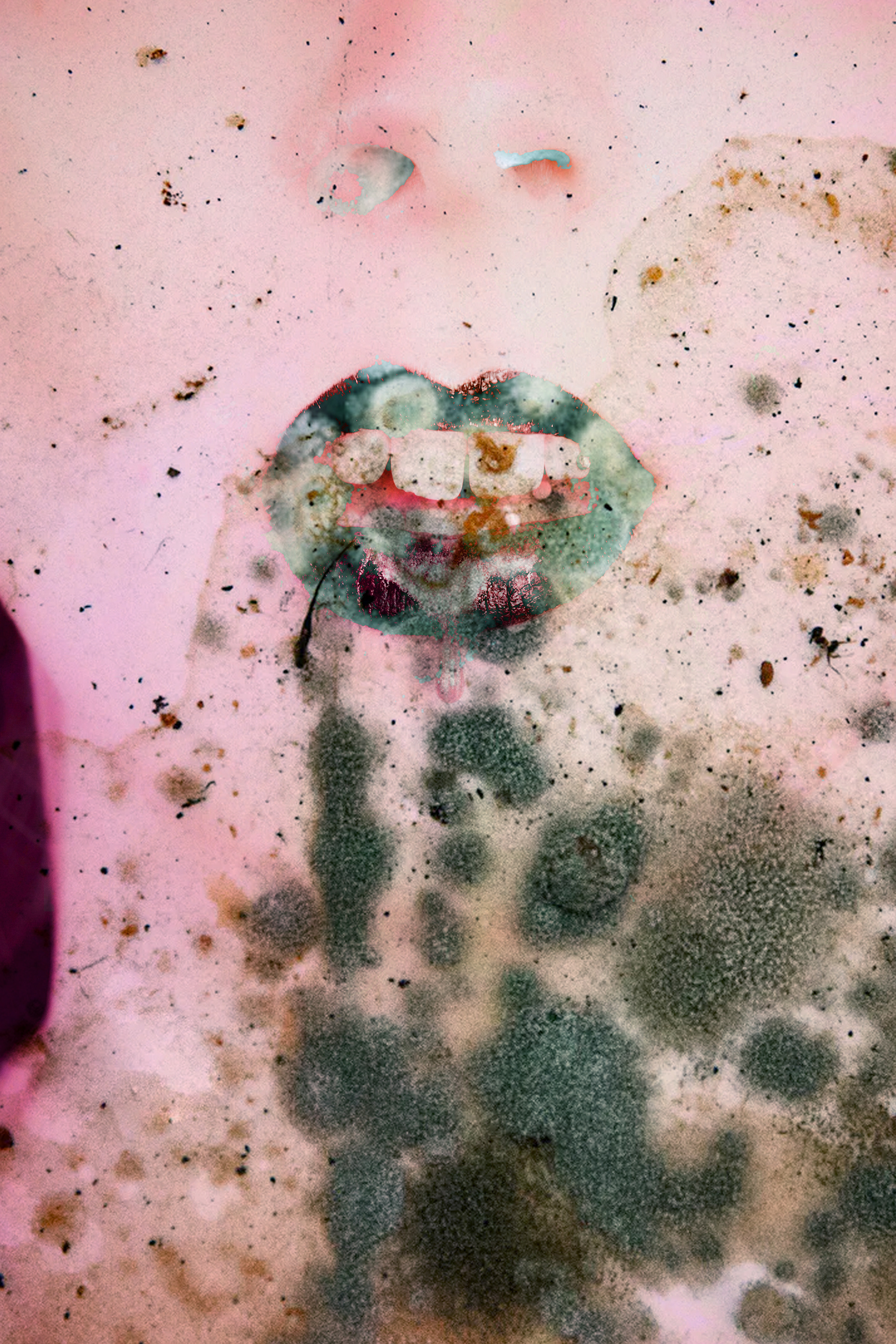 The Mould (Parosmia Series)
